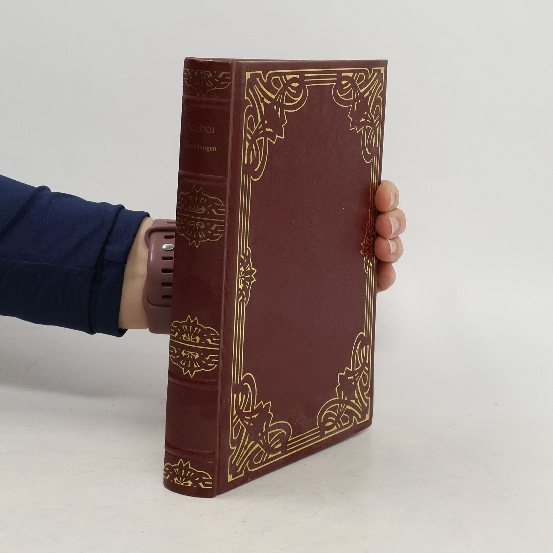 Lew Nikolajewitsch Tolstoi Erzählungen