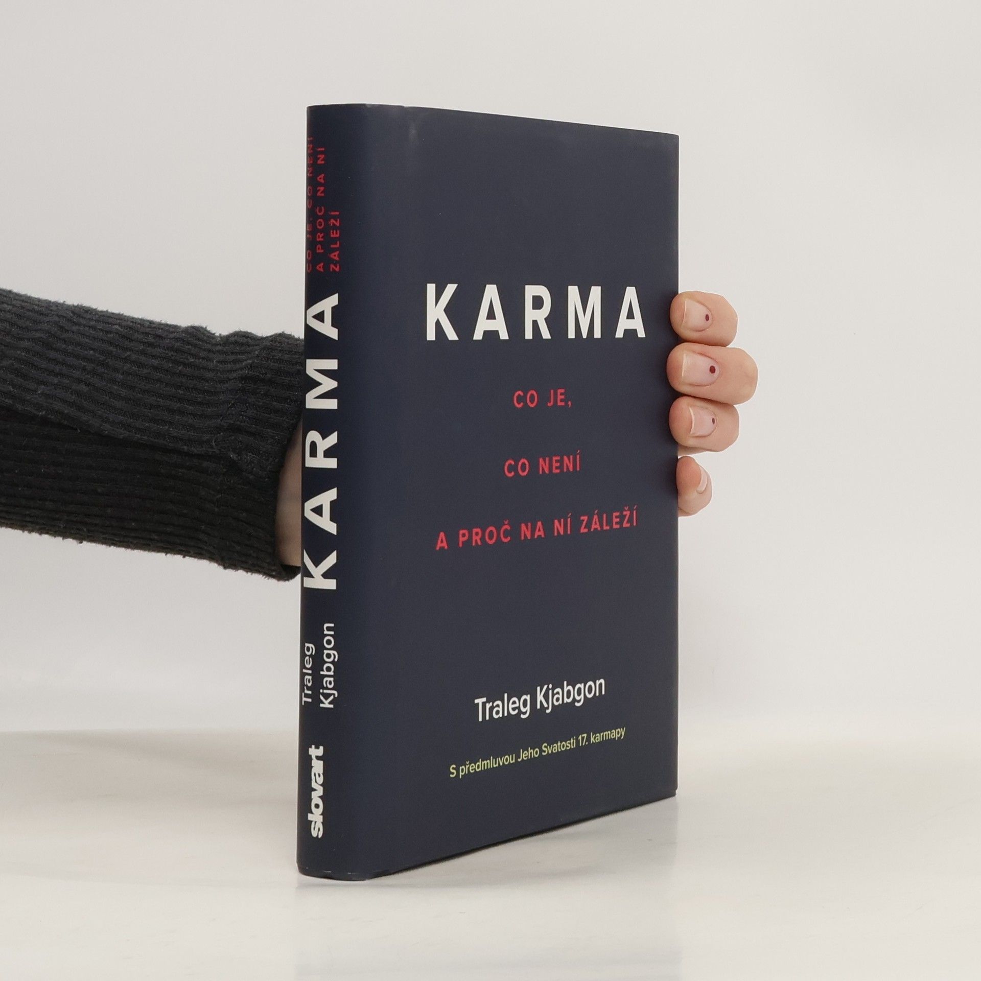 Traleg Kjabgon Karma: Co je, co není a proč na ní záleží