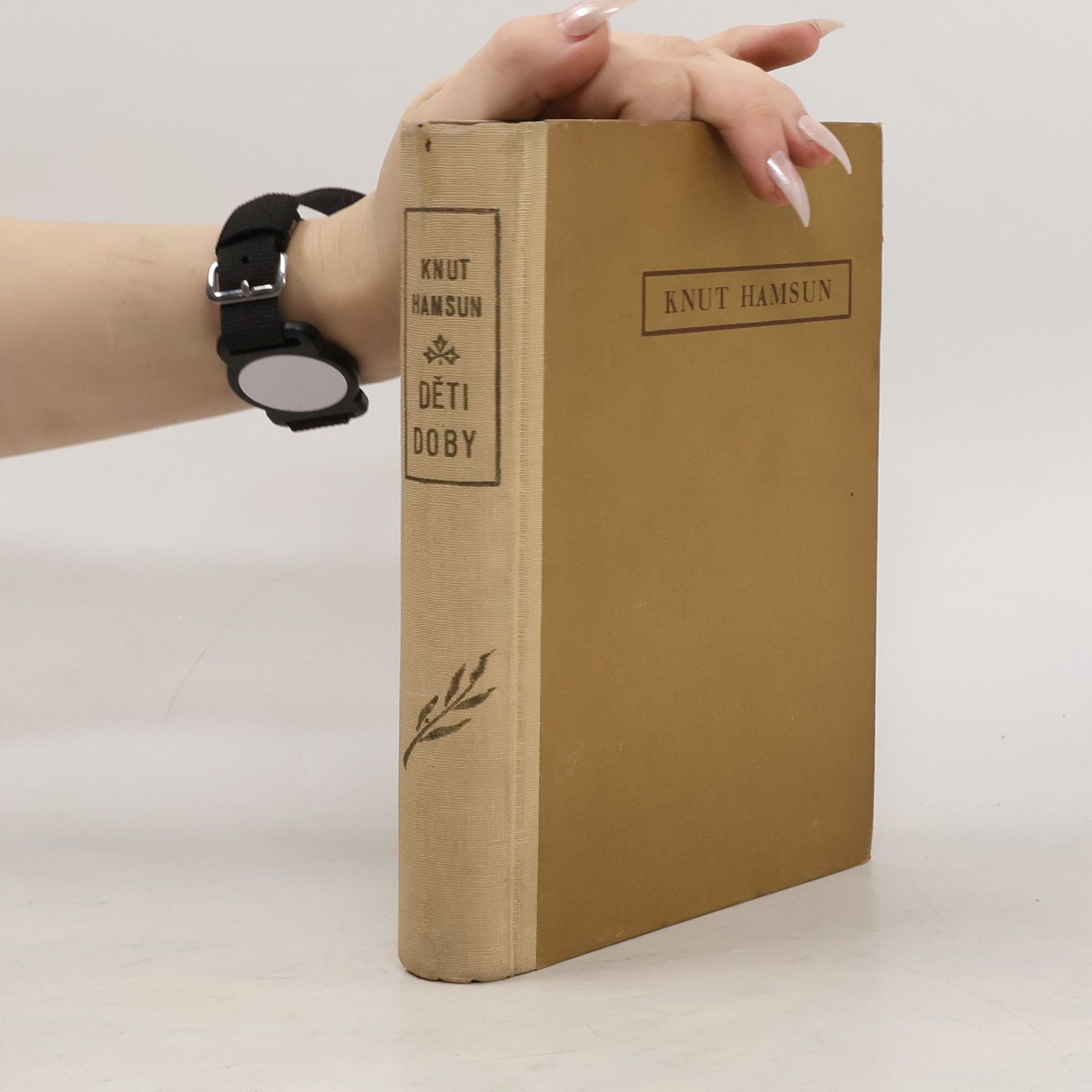 Knut Hamsun Děti doby