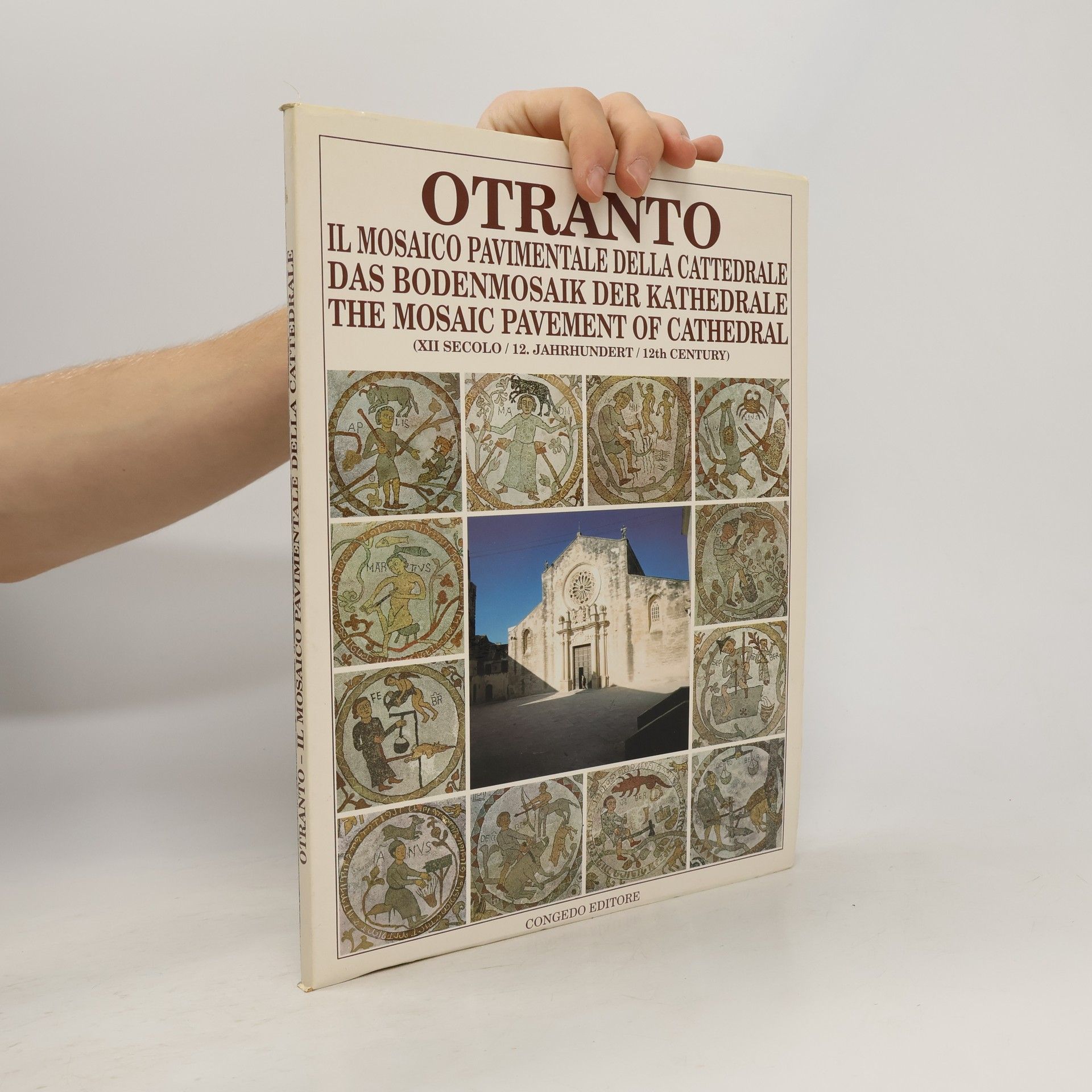 Kolektiv autorů Otranto. Il Mosaico Pavimentale Della Cattedrale