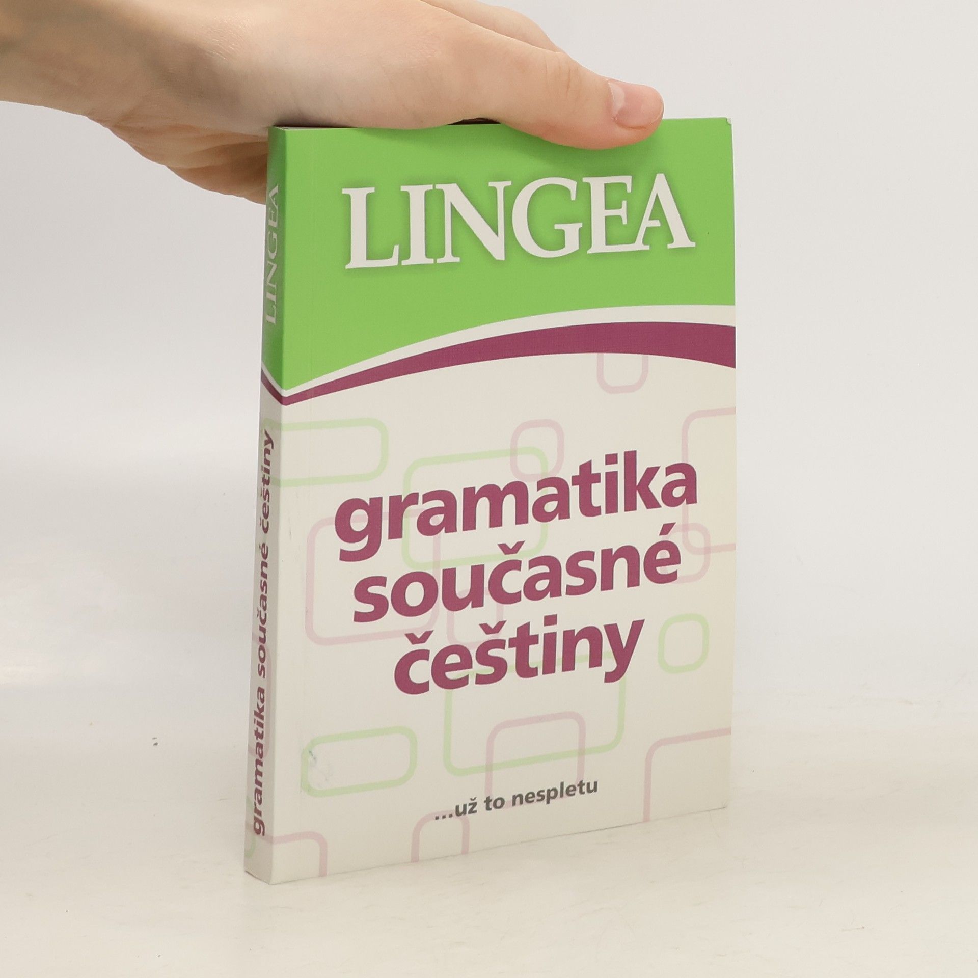 Kolektiv autorů Gramatika současné češtiny