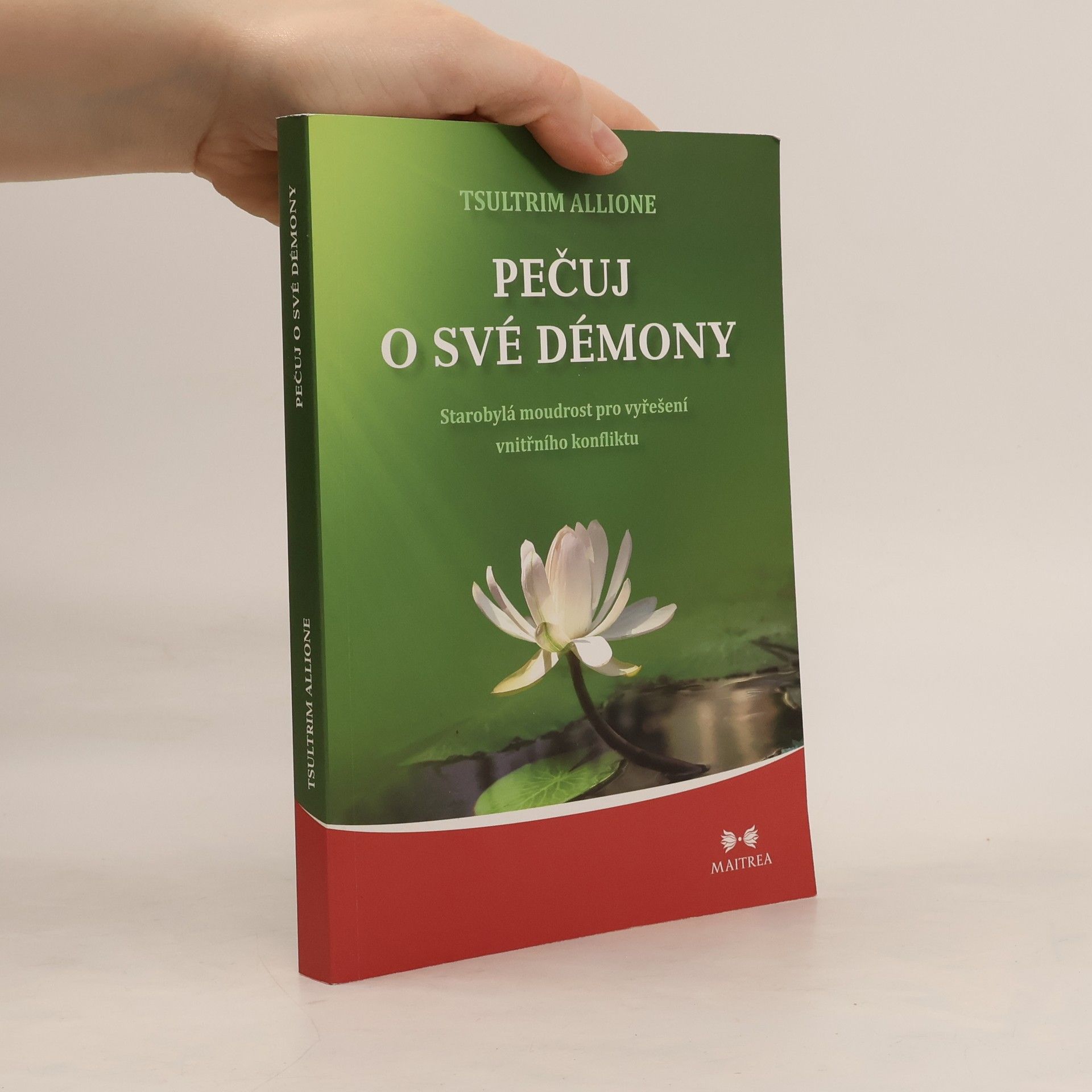 Tsültrim Allione Pečuj o své démony. Starobylá moudrost pro vyřešení vnitřního konfliktu