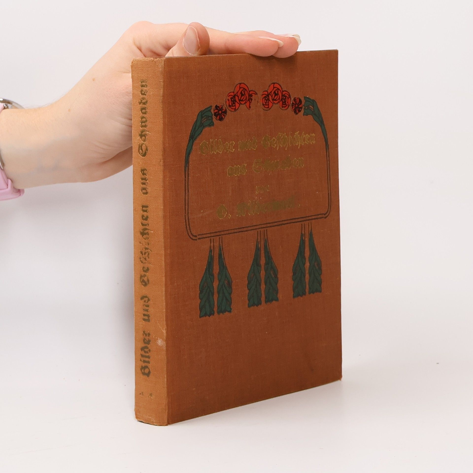 Ottilie Wildermuth Bilder und Geschichten aus Schwaben. Band 2