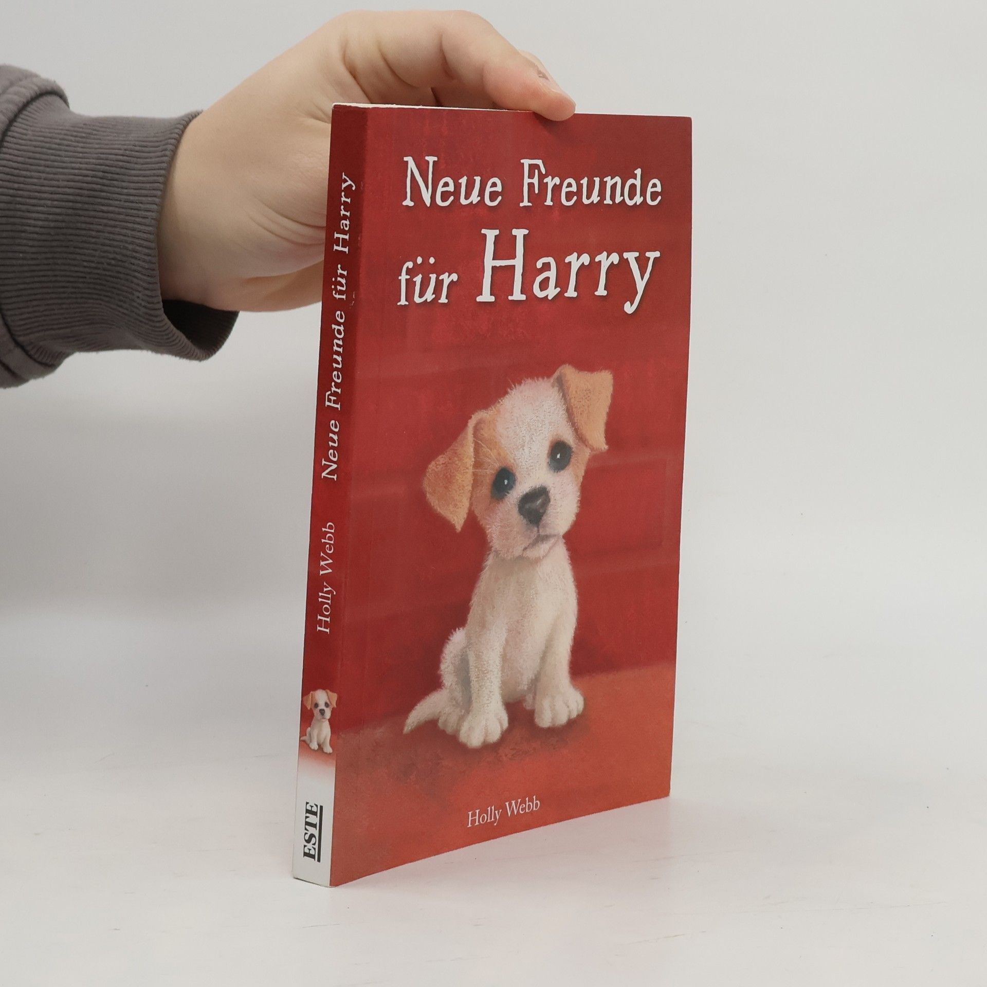 Holly Webb Neue Freunde für Harry