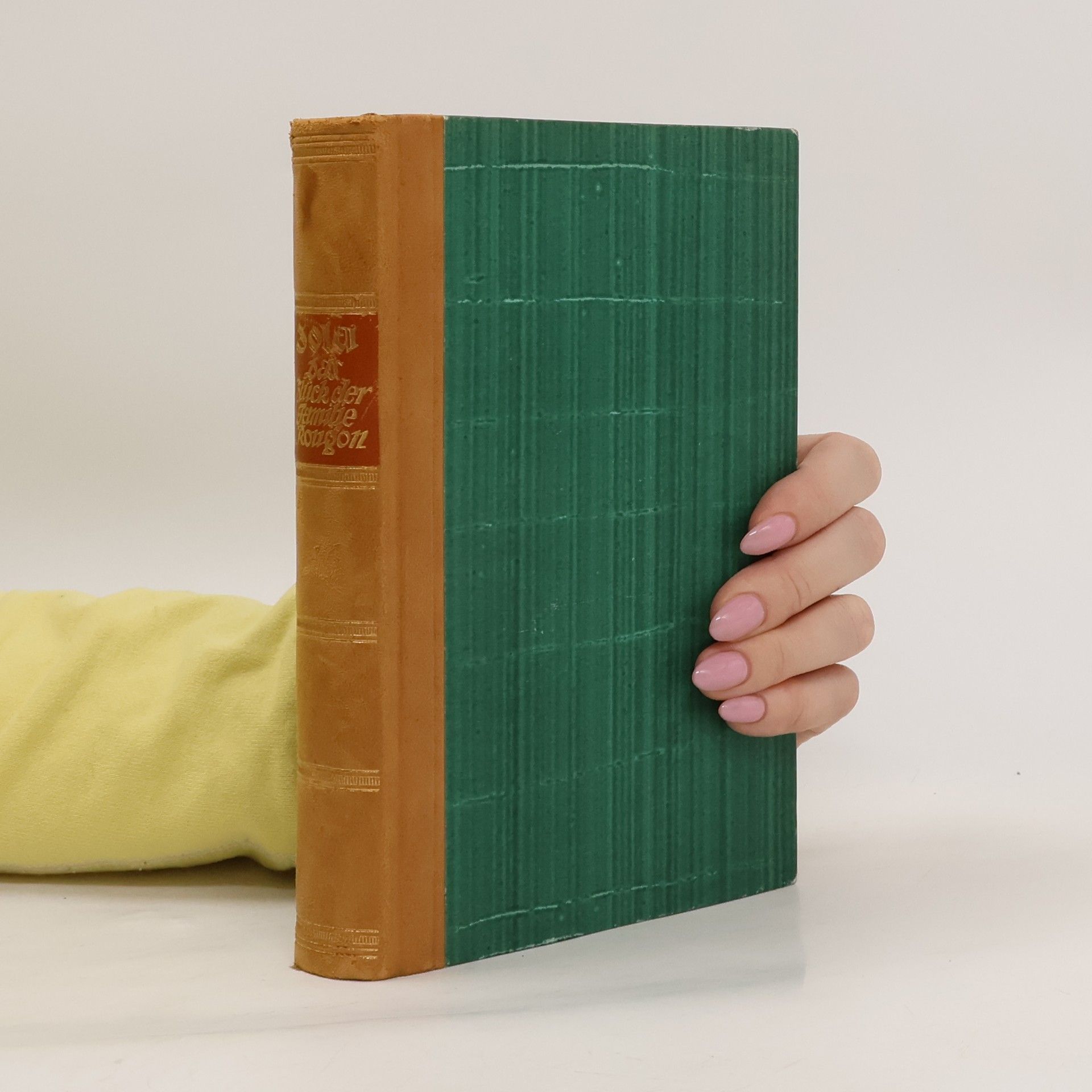 Émile Zola Das Glück der Familie Rougon