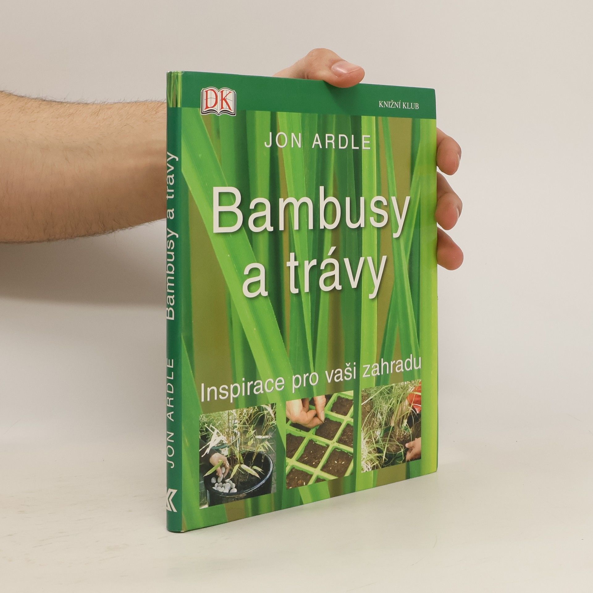 Bambusy a trávy
