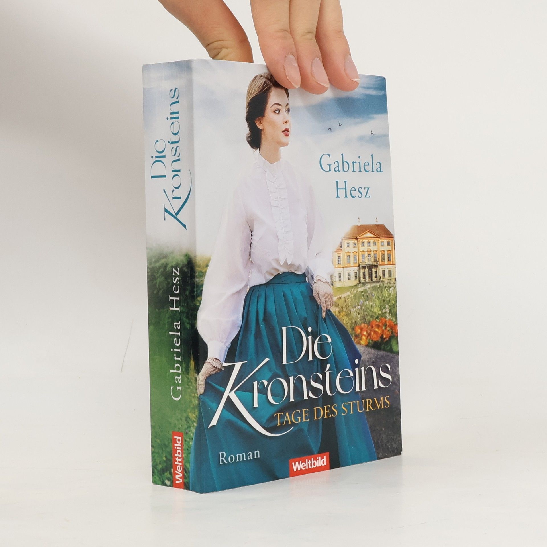 Gabriela Hesz Die Kronsteins