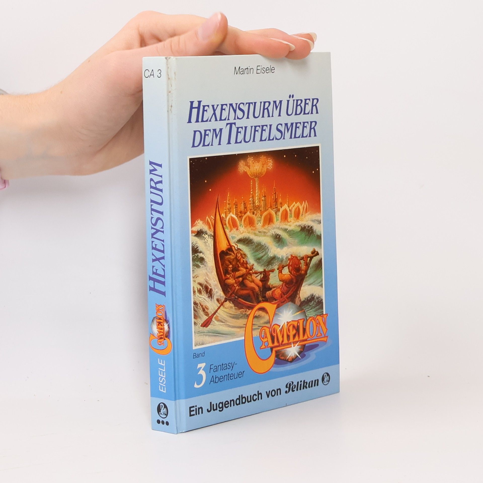 Claudia Torwegge Hexensturm über dem Teufelsmeer. Fantasy- Abenteuer.