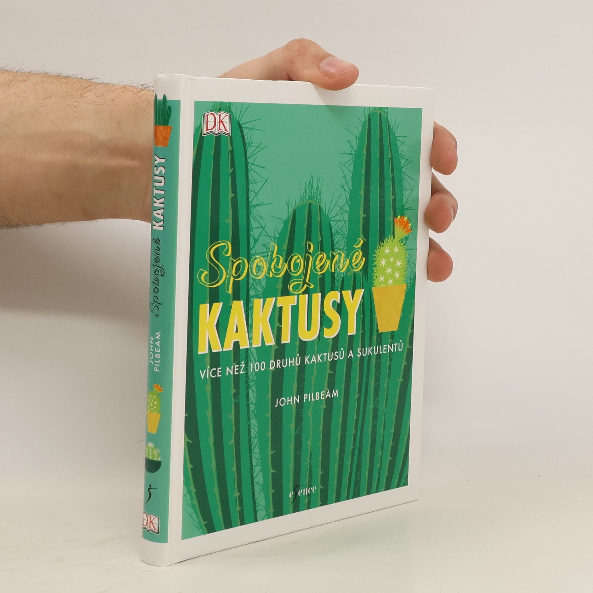 John Pilbeam Spokojené kaktusy