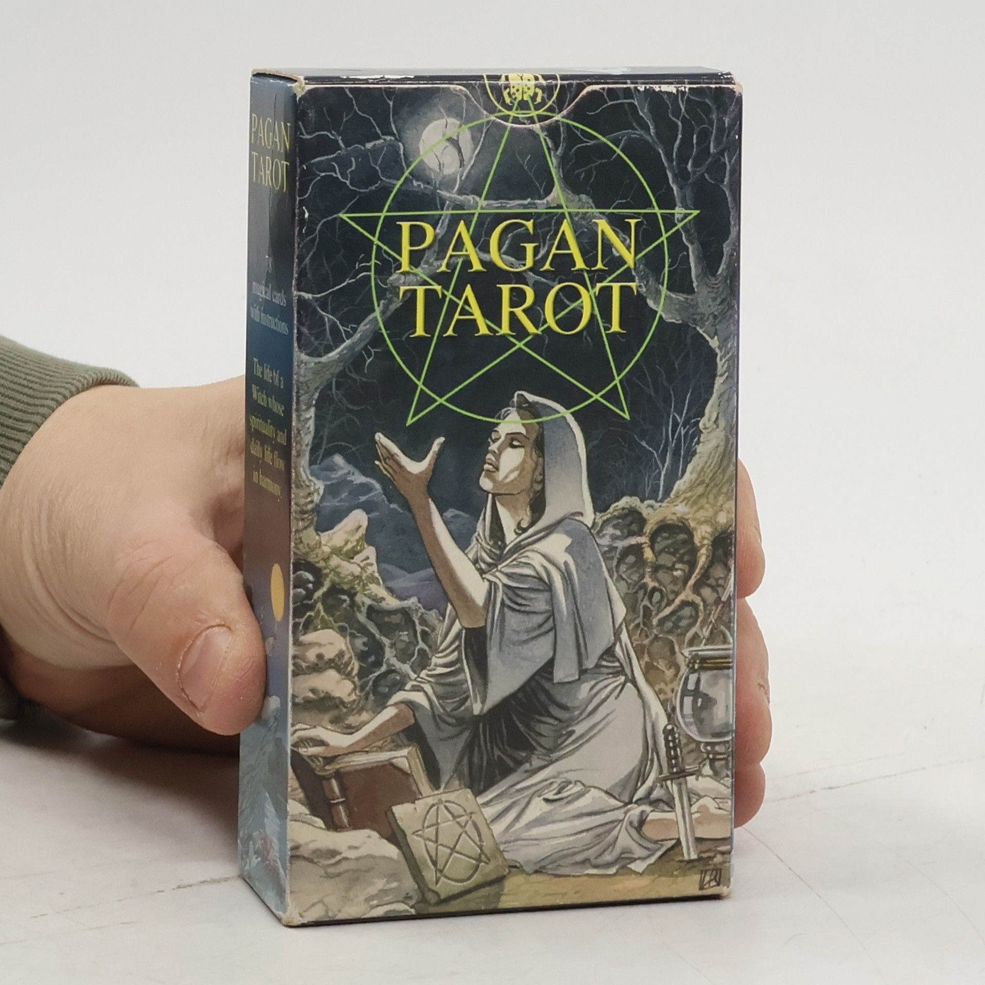 Gina M. Pace Pagan Tarot Cards