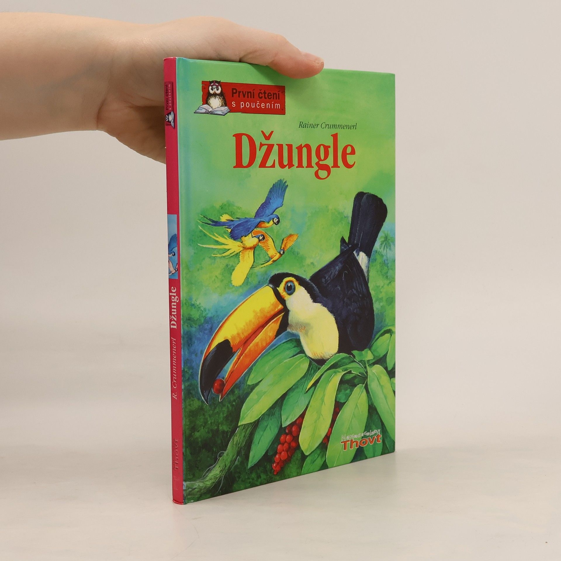 Rainer Crummenerl Džungle