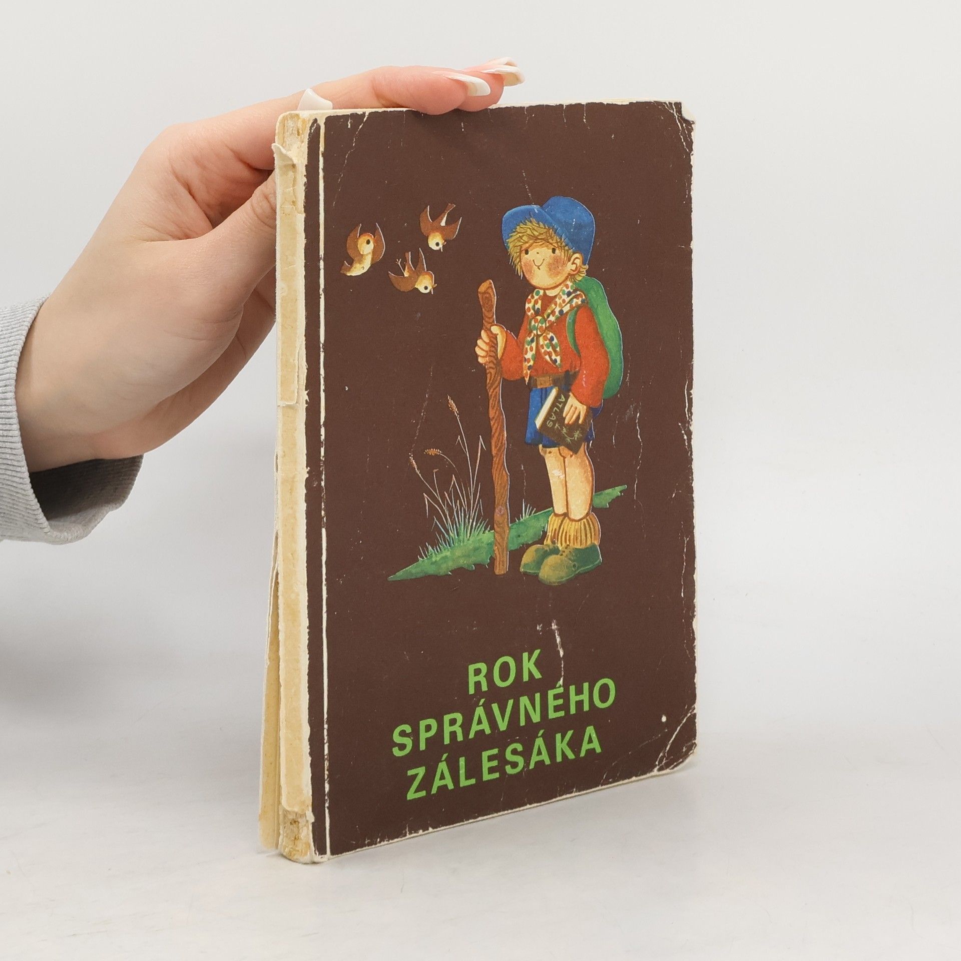 Rok správného zálesáka