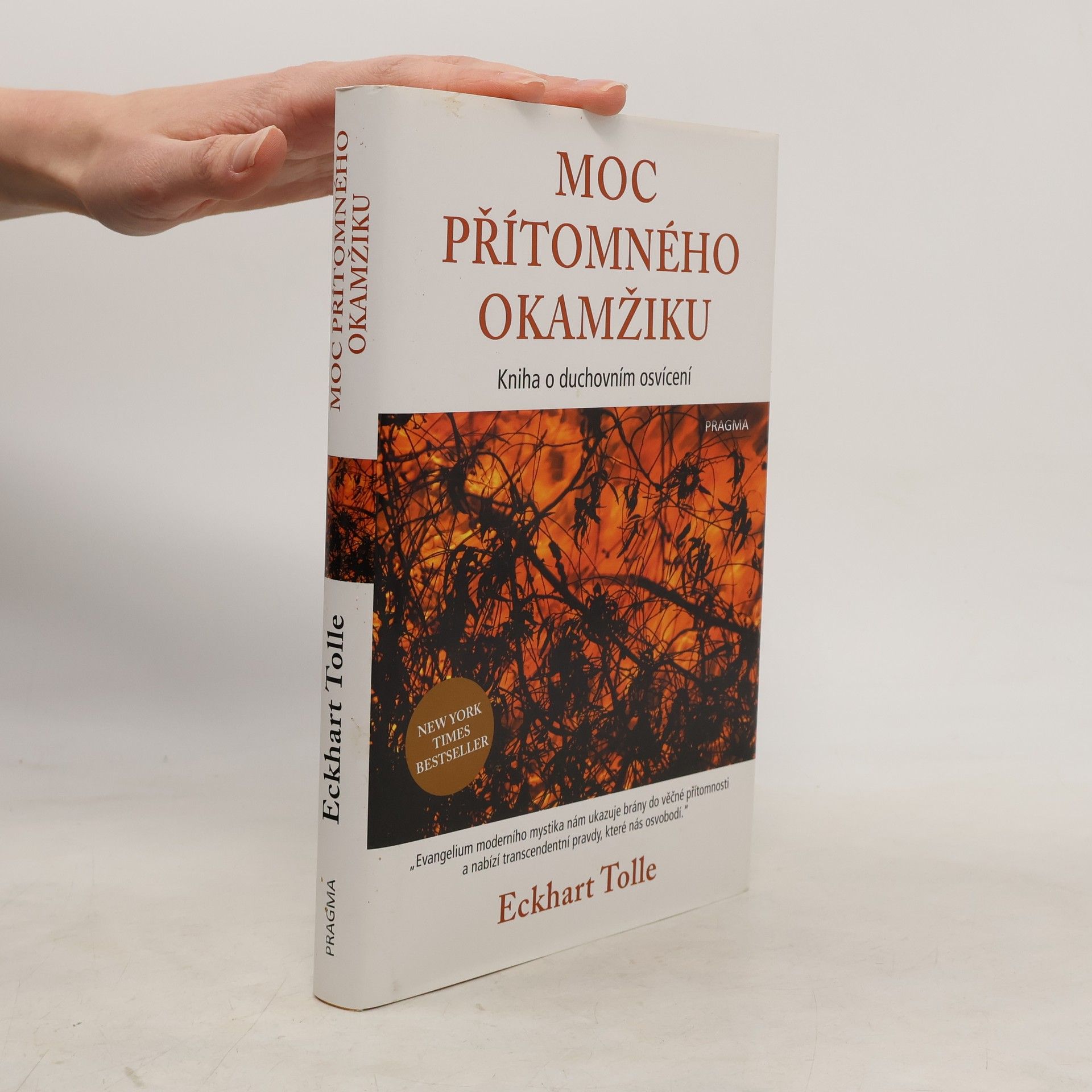 Eckhart Tolle Moc přítomného okamžiku