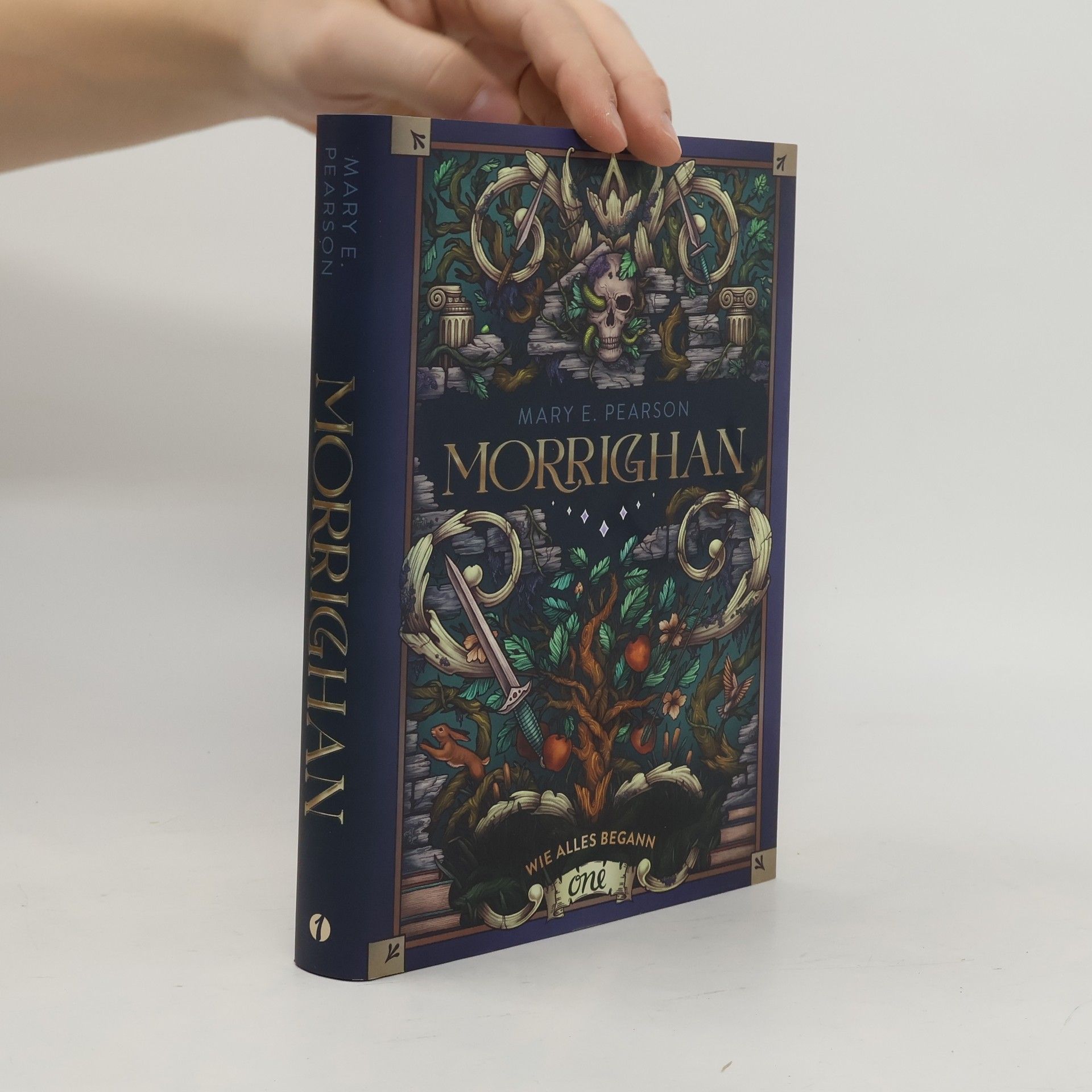 Mary E. Pearson Morrighan - Wie alles begann