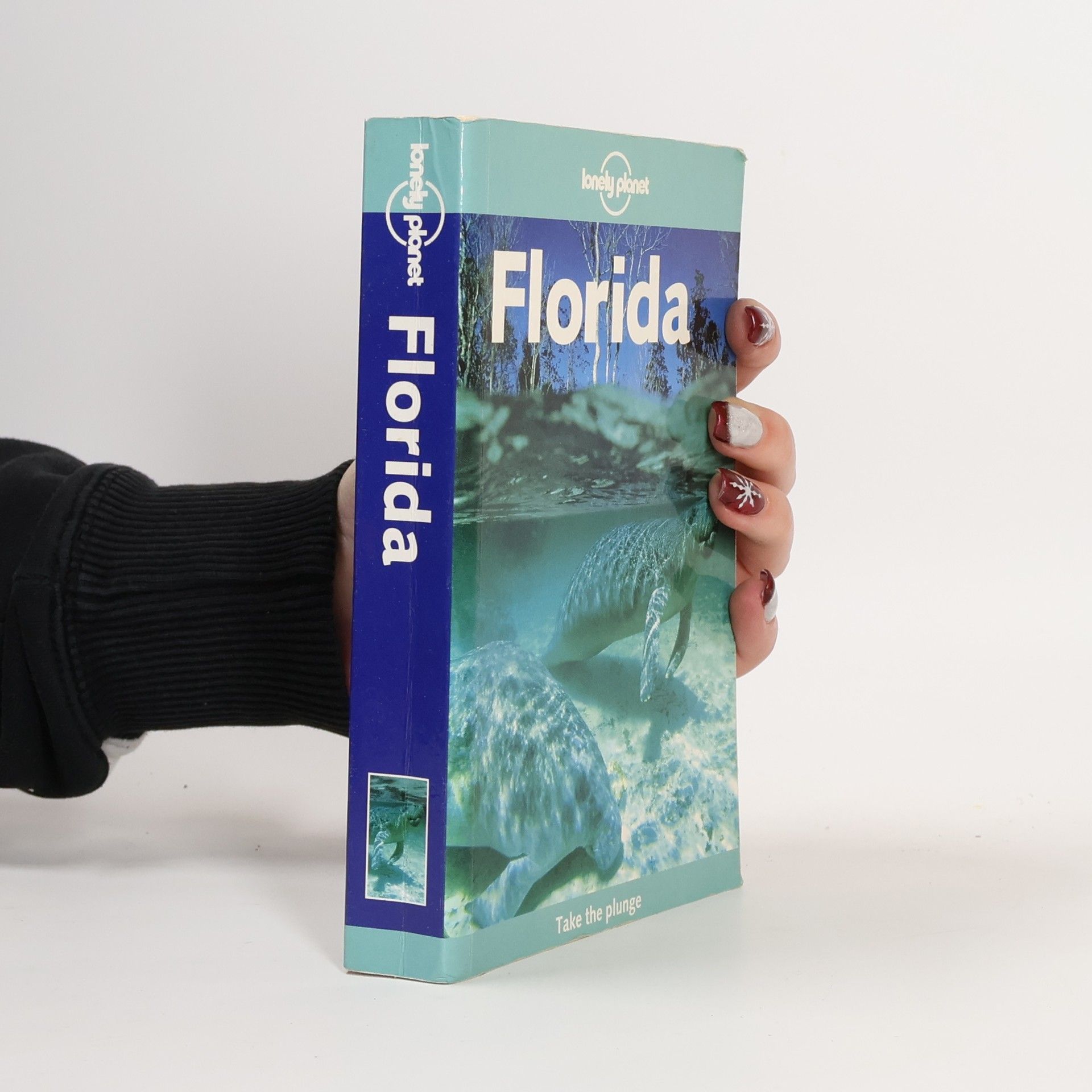 Corinna Selby Florida