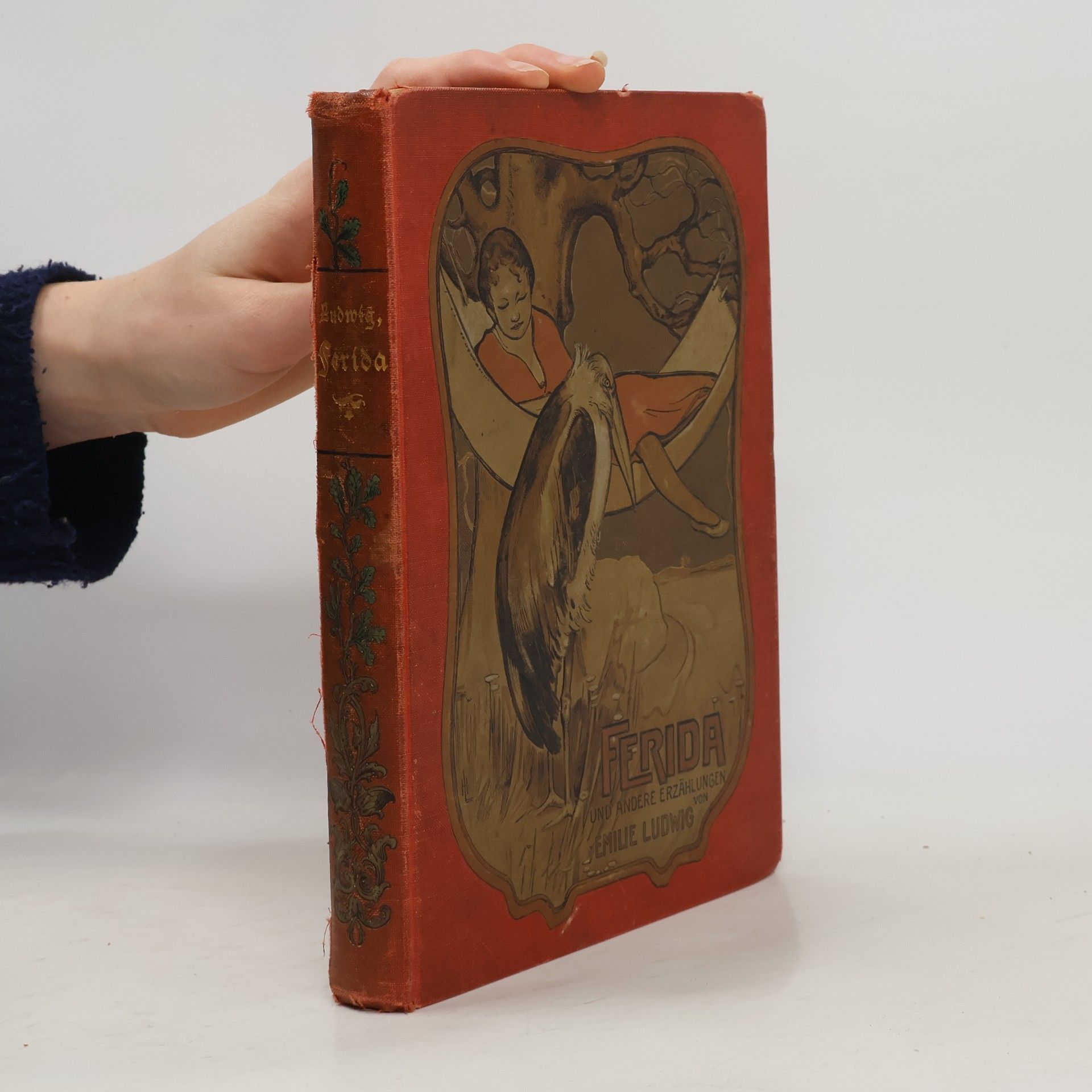 Emilie Ludwig Ferida und andere Erzählungen