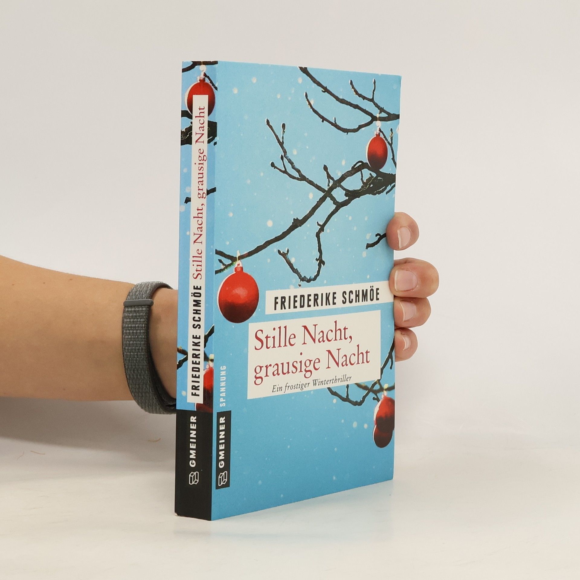 Friederike Schmöe Stille Nacht, grausige Nacht