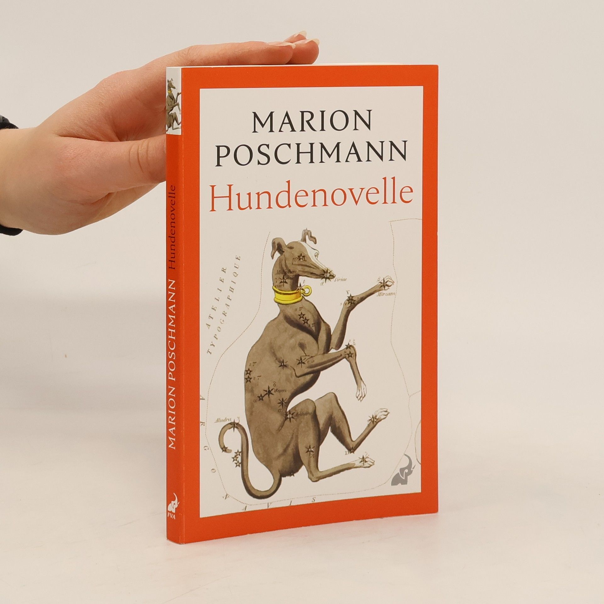 Marion Poschmann Hundenovelle