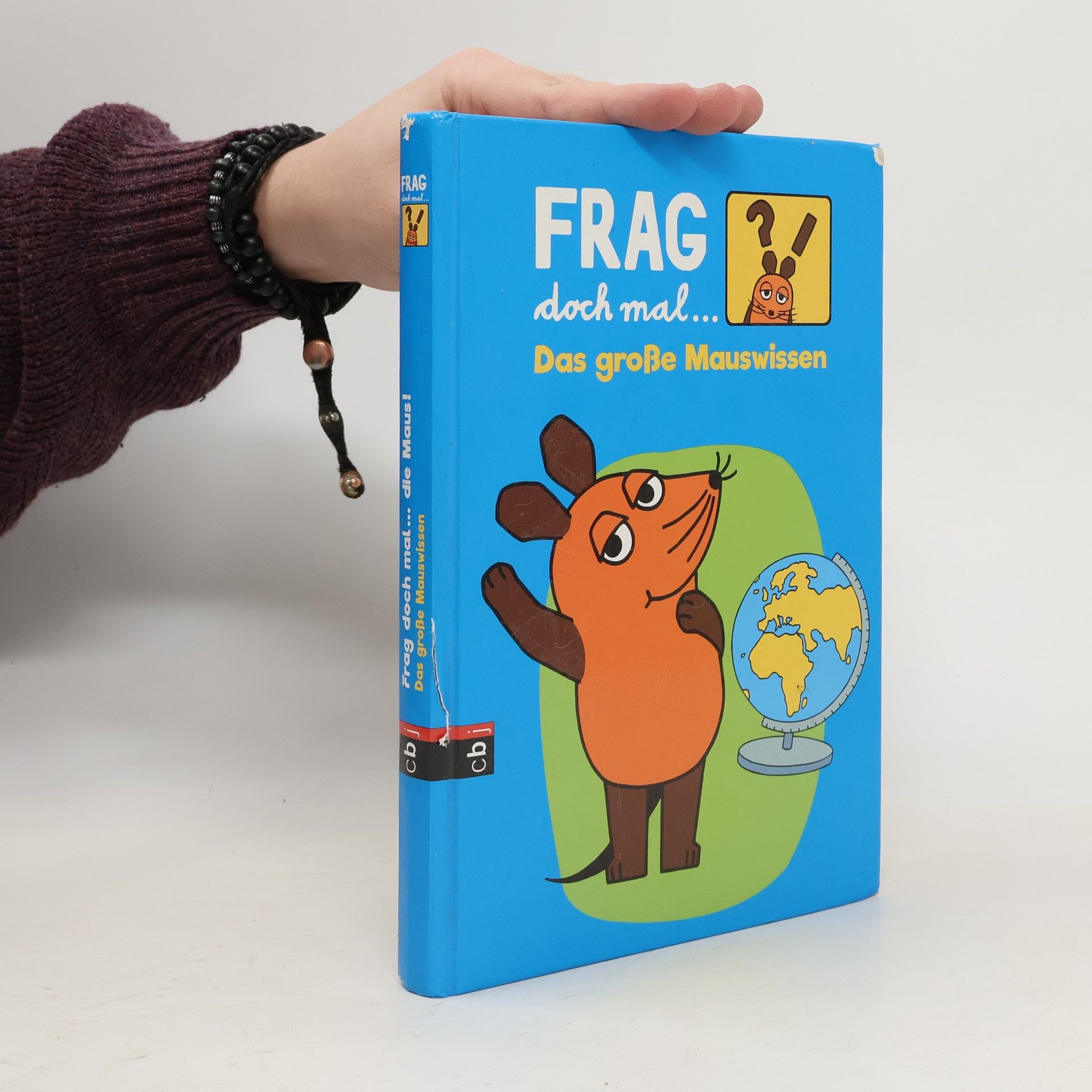 Bernd Flessner Frag doch mal … [die Maus?!] - das große Mauswissen