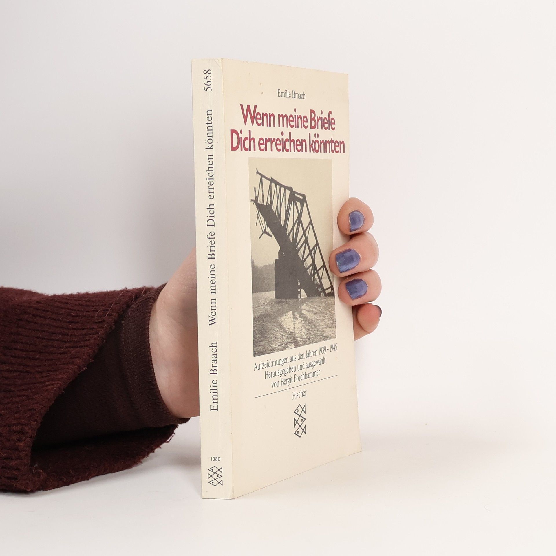 Emilie Braach Wenn meine Briefe dich erreichen könnten