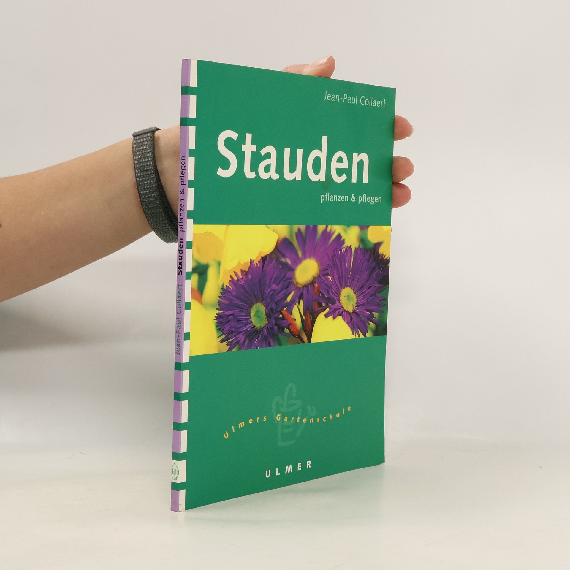 Stauden pflanzen und pflegen