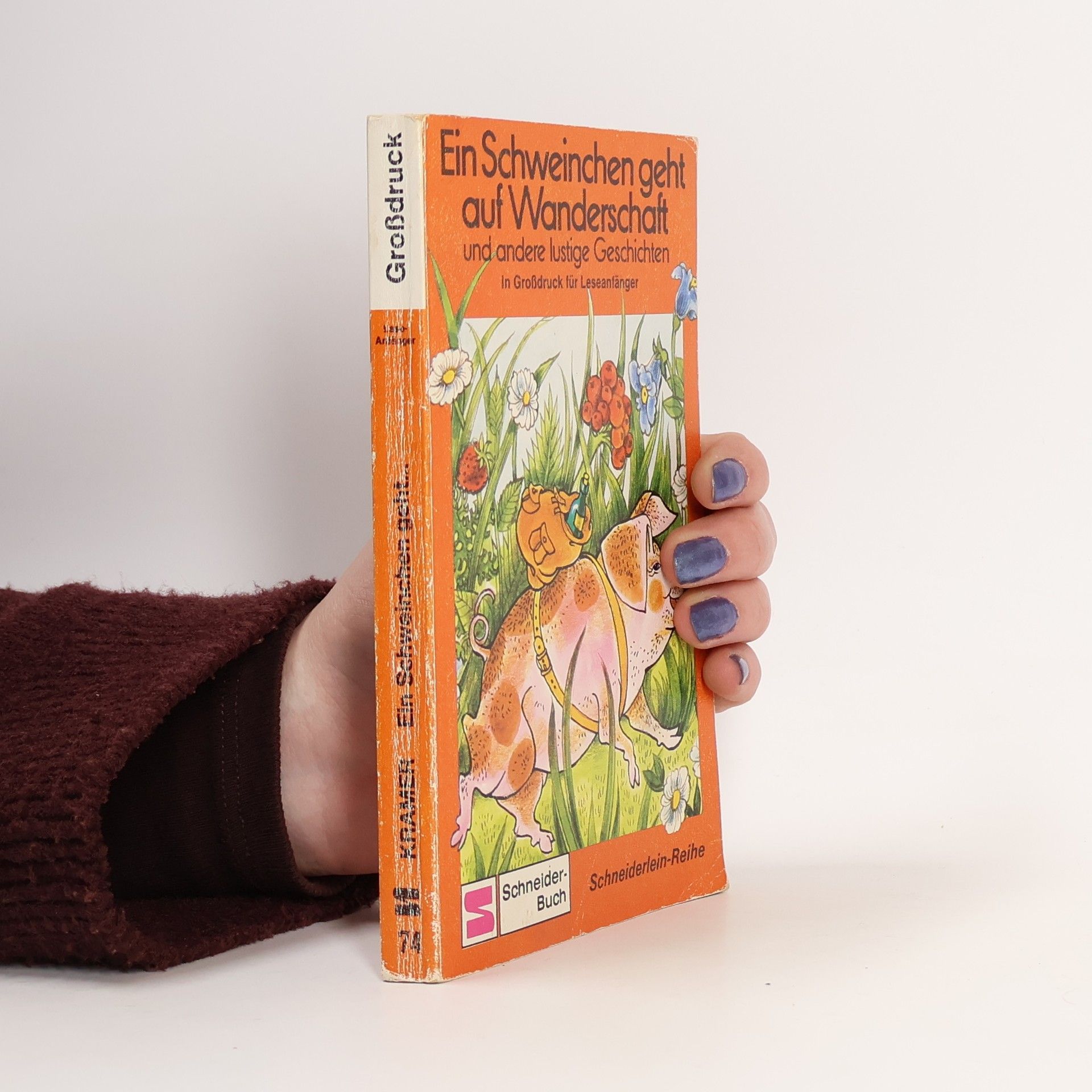 Ein Schweinchen geht auf Wanderschaft - In Großdruck für Leseanfänger