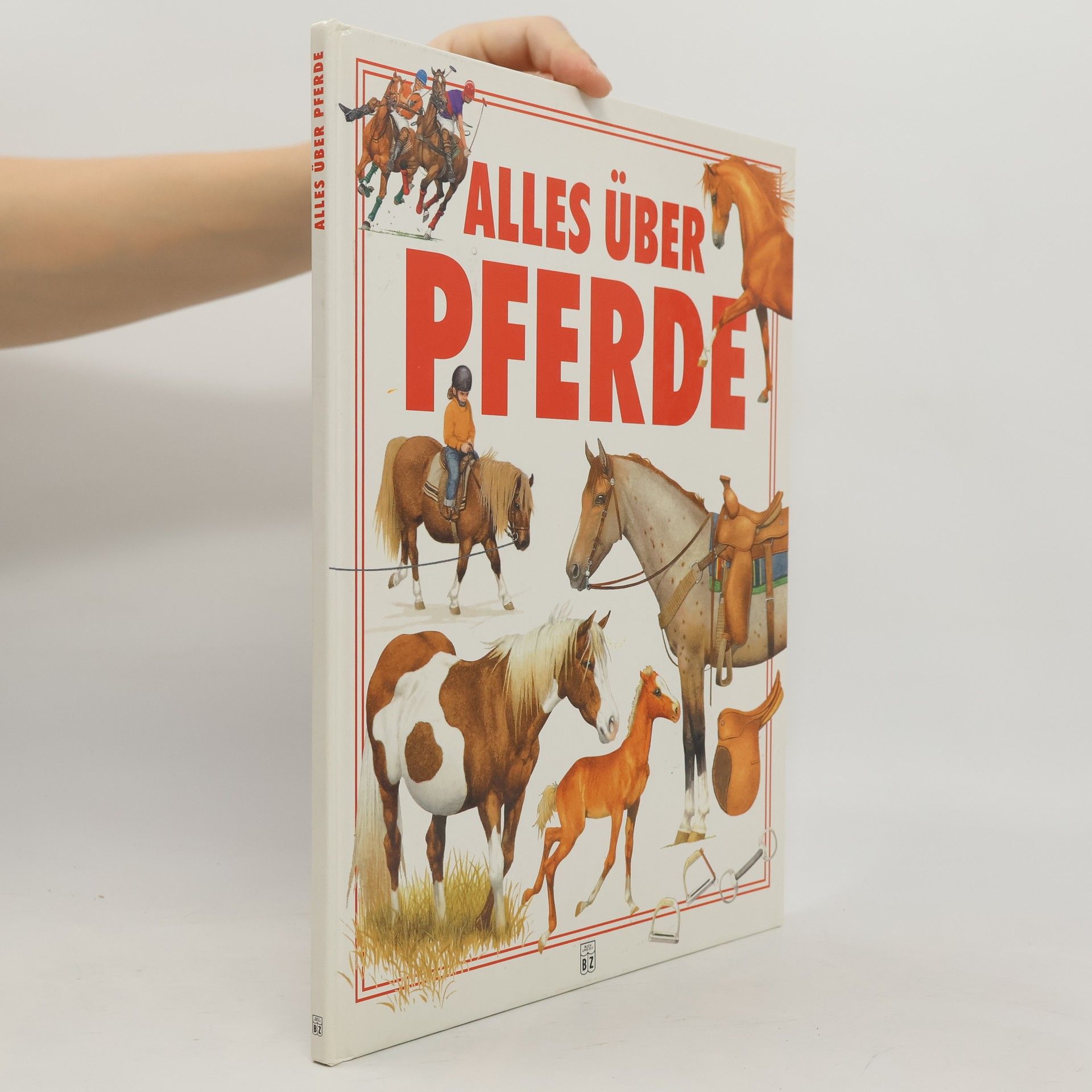 Autorenkollektiv Alles Über Pferde