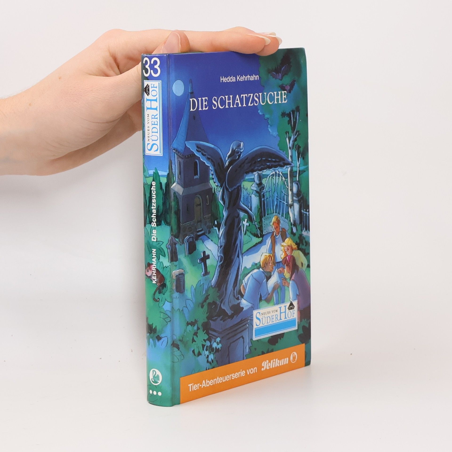 Neues vom Süderhof - 33: Die Schatzsuche