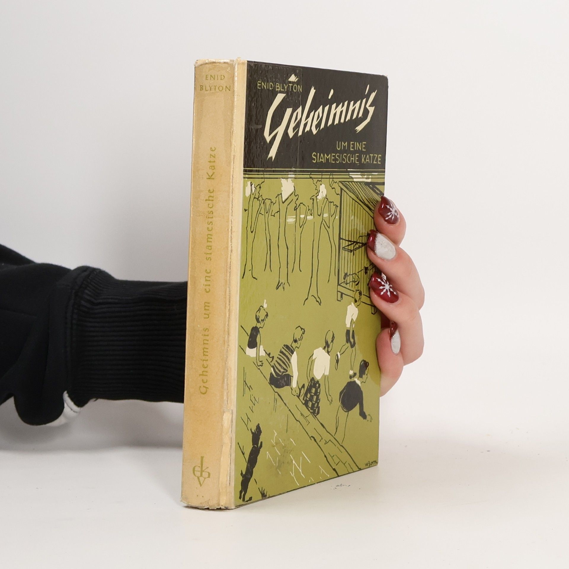 Geheimnis um eine siamesische Katze