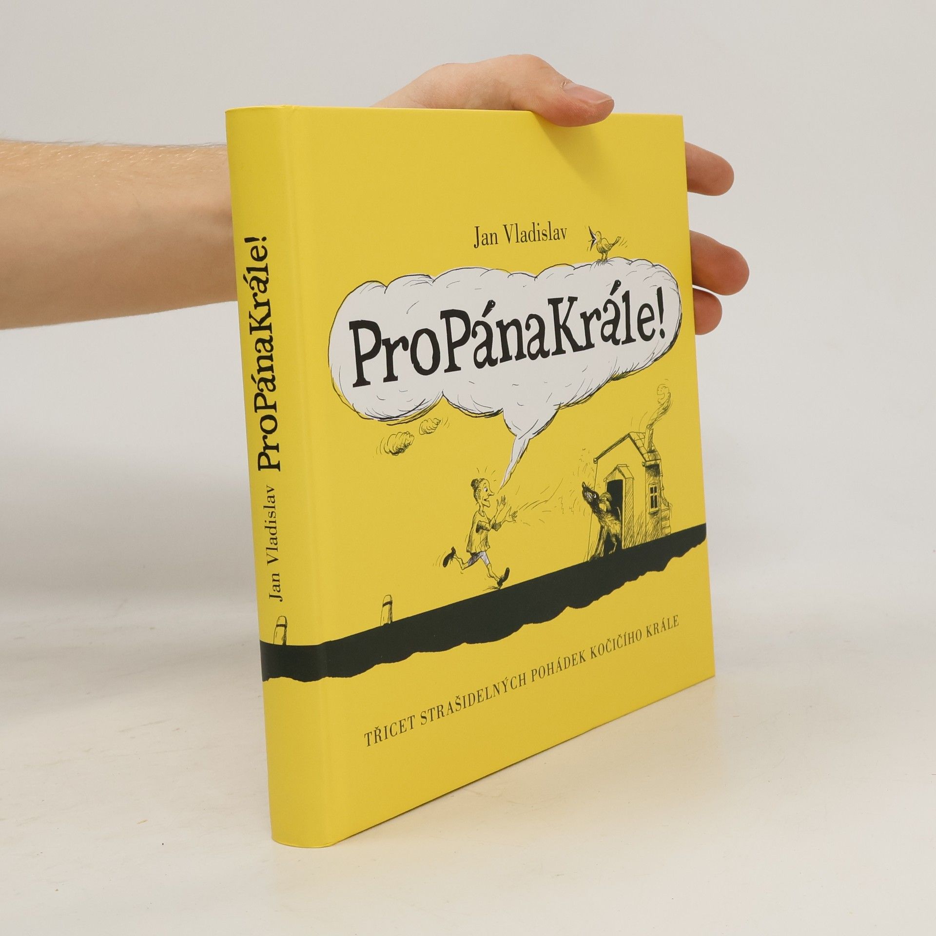 ProPánaKrále! : [třicet strašidelných pohádek kočičího krále]