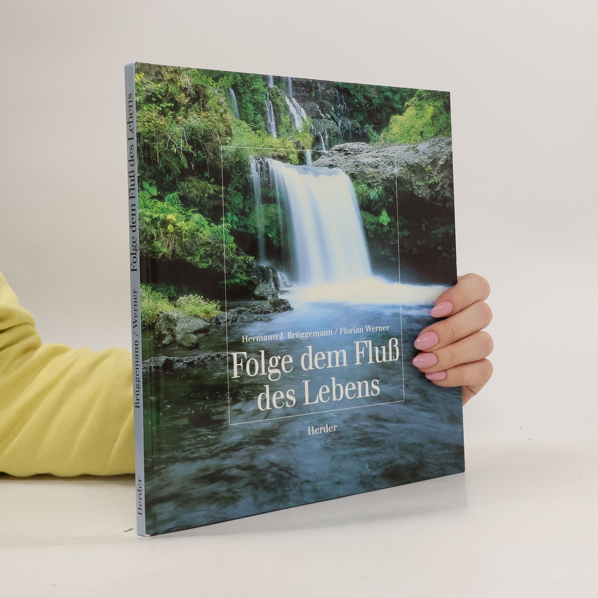 Hermann Brüggemann Folge dem Fluss des Lebens