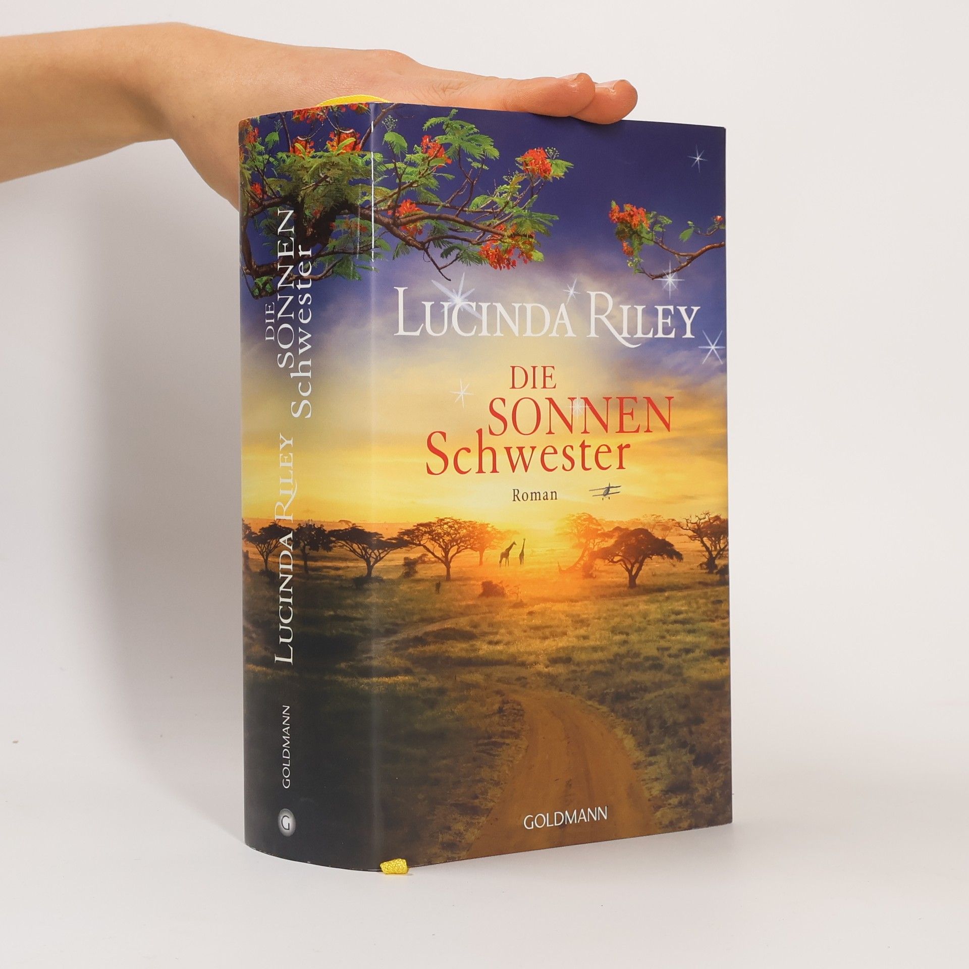 Lucinda Riley Die Sonnenschwester