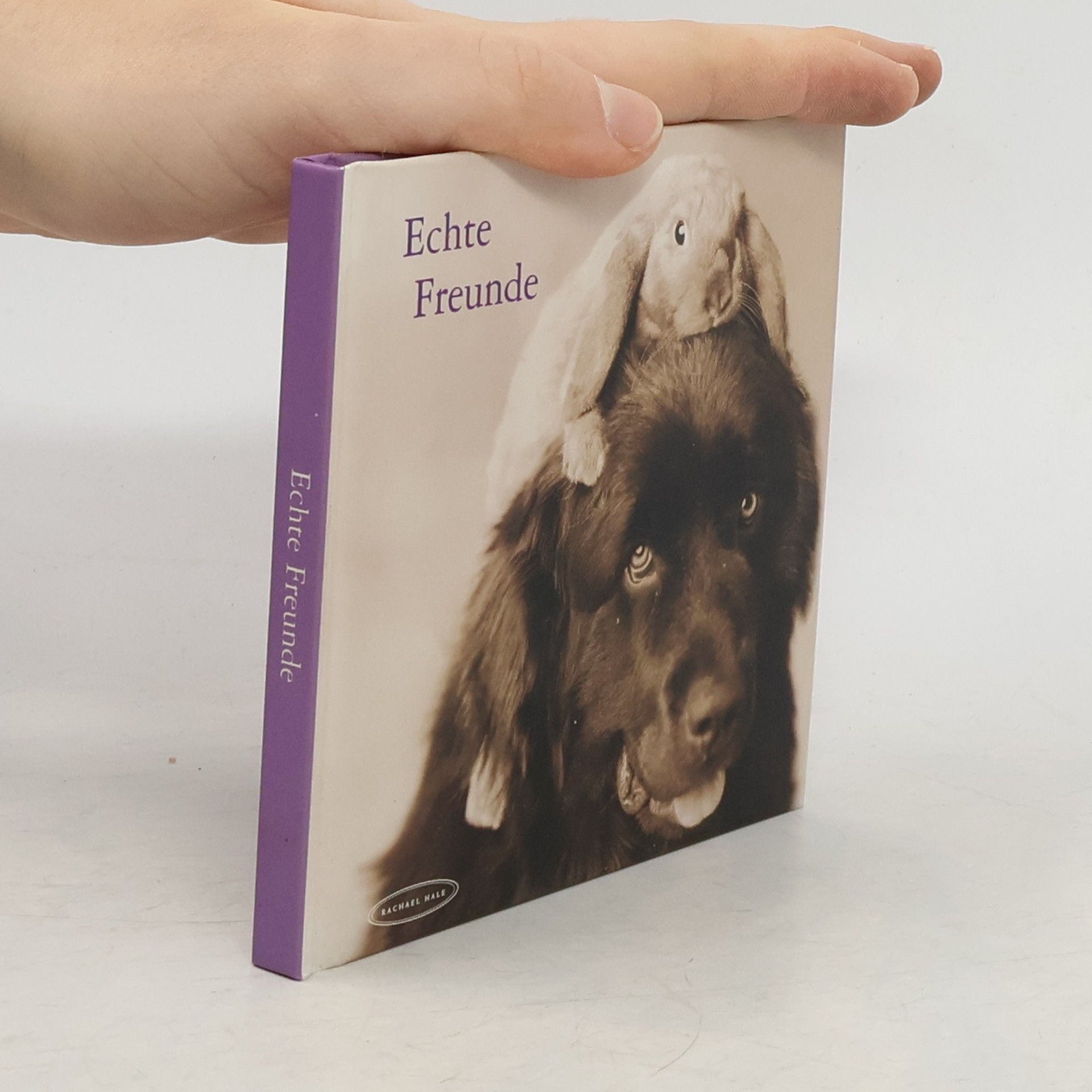 Rachael McKenna Echte Freunde