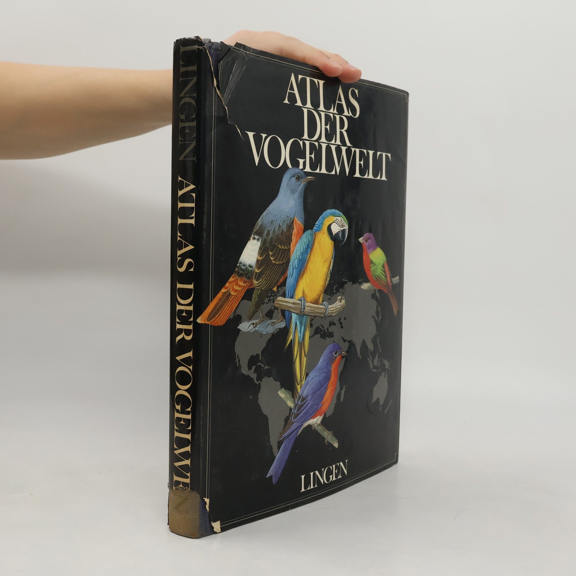 Helmut Lingen Atlas der Vogelwelt