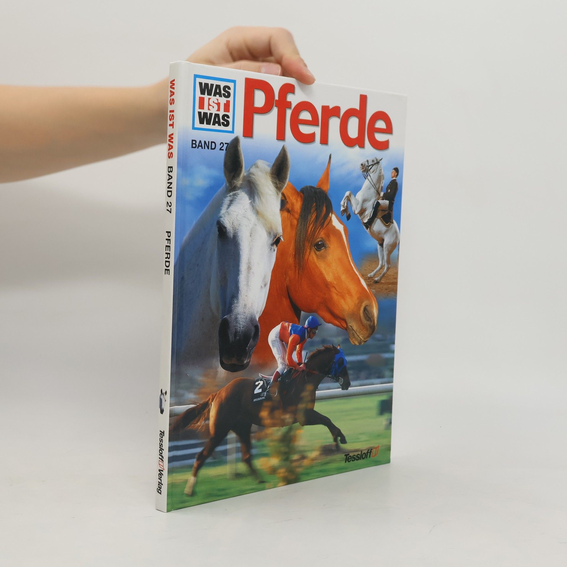 Kerstin Neumann Pferde