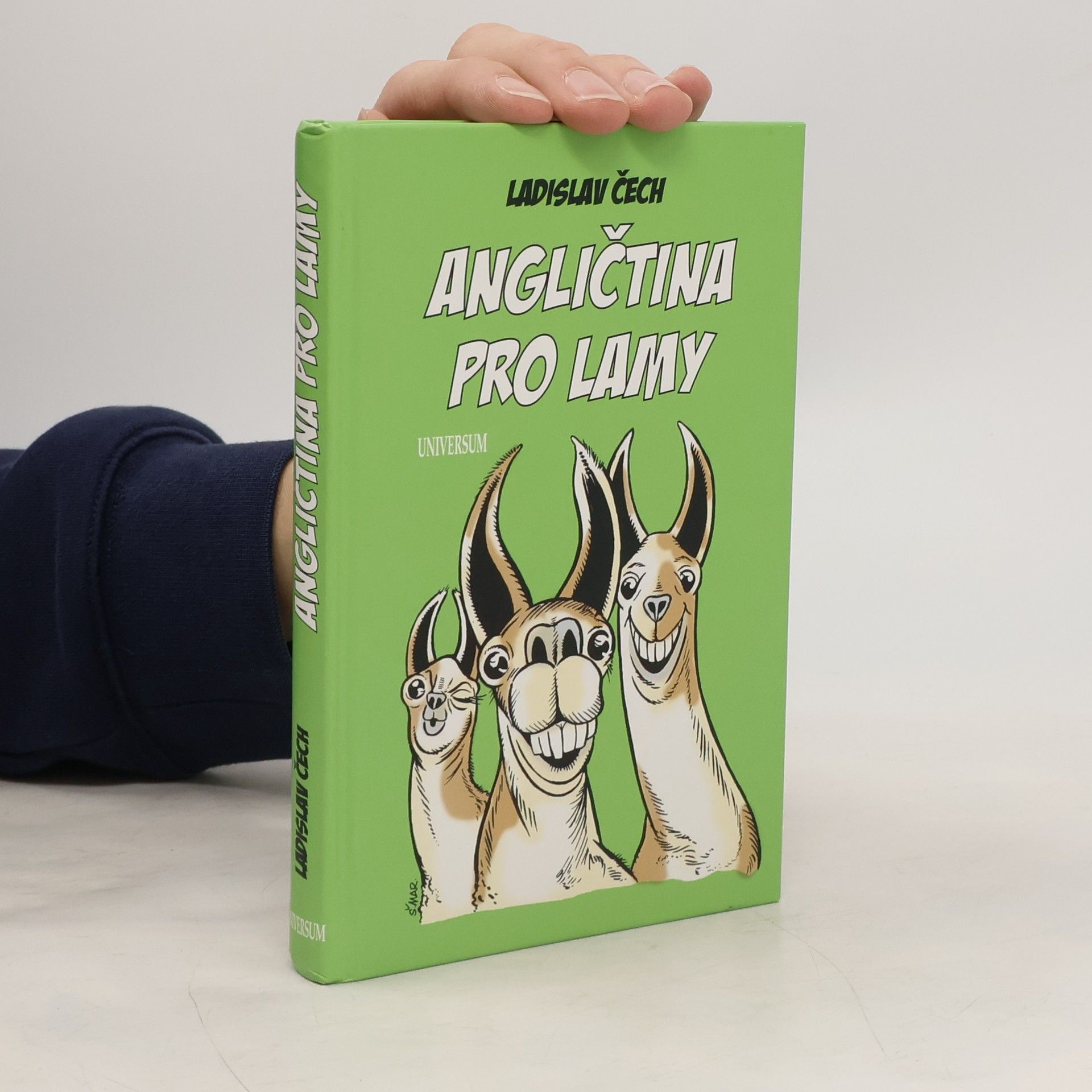 Ladislav Čech Angličtina pro lamy