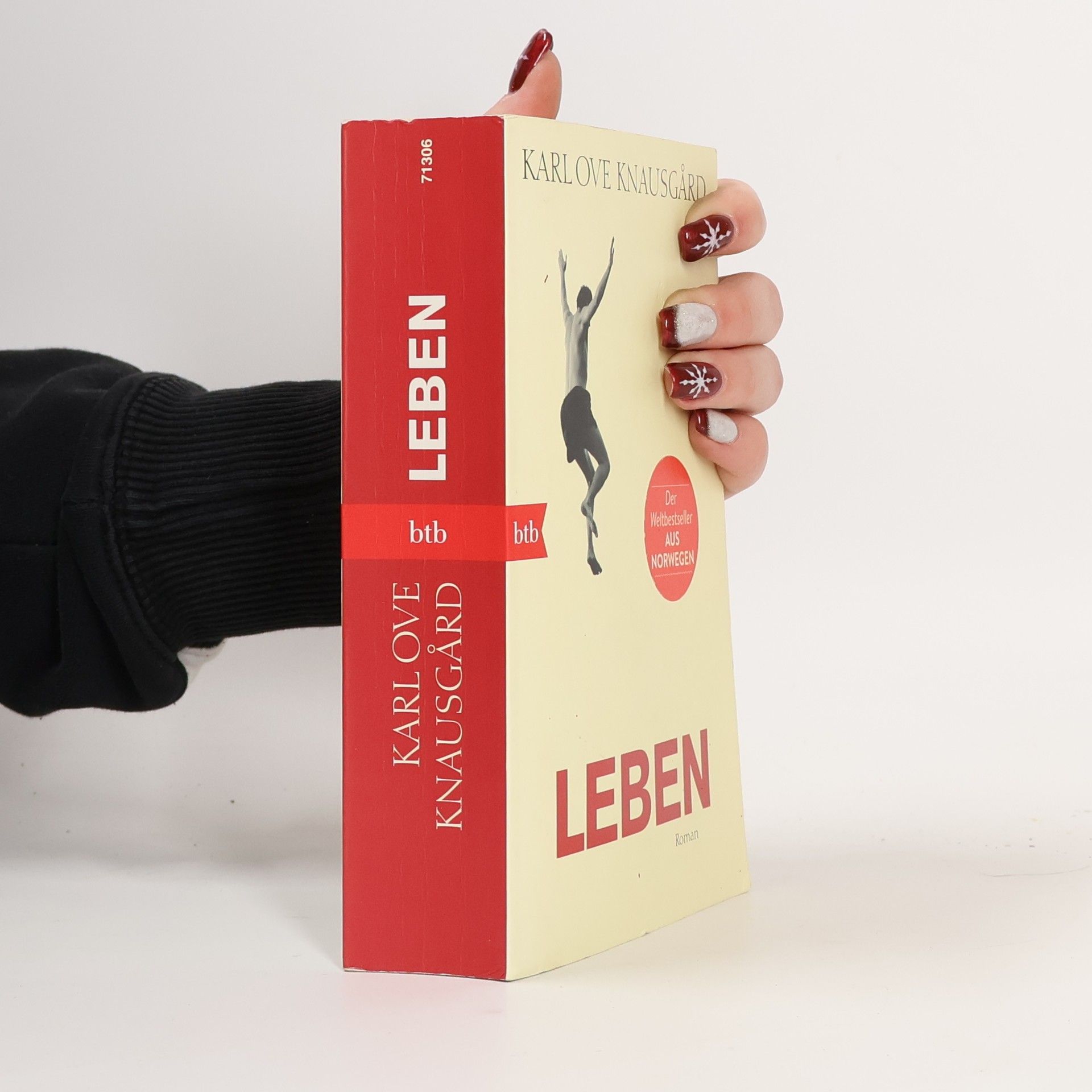 Karl Ove Knausgård Leben