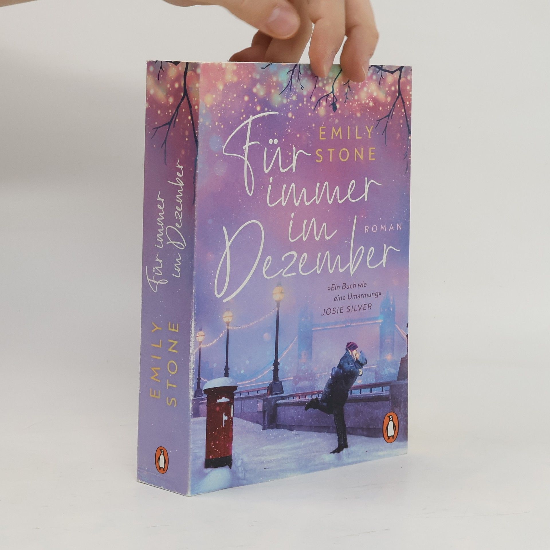 Stone Emily Für immer im Dezember