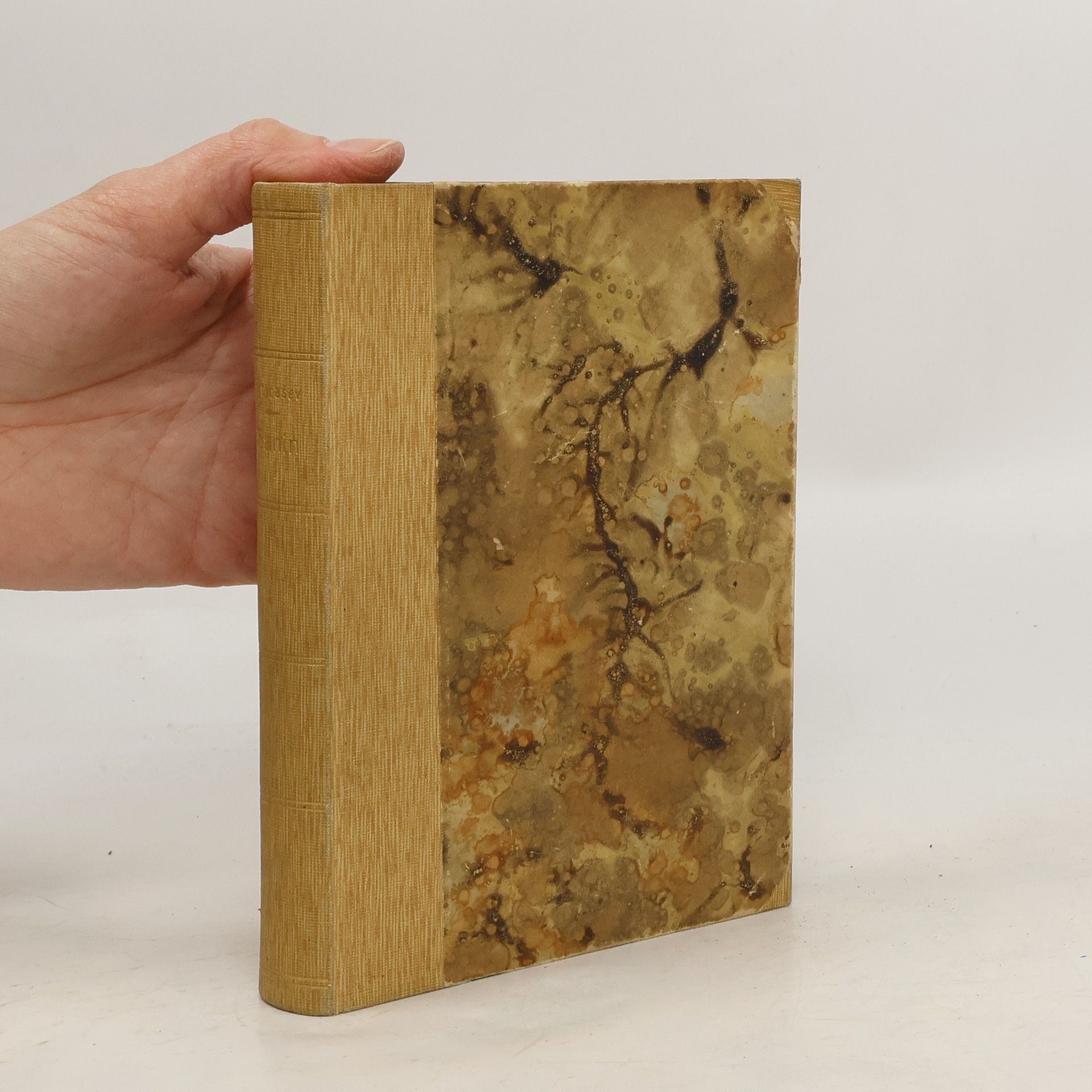 Michail Petrovič Arcybašev Sanin