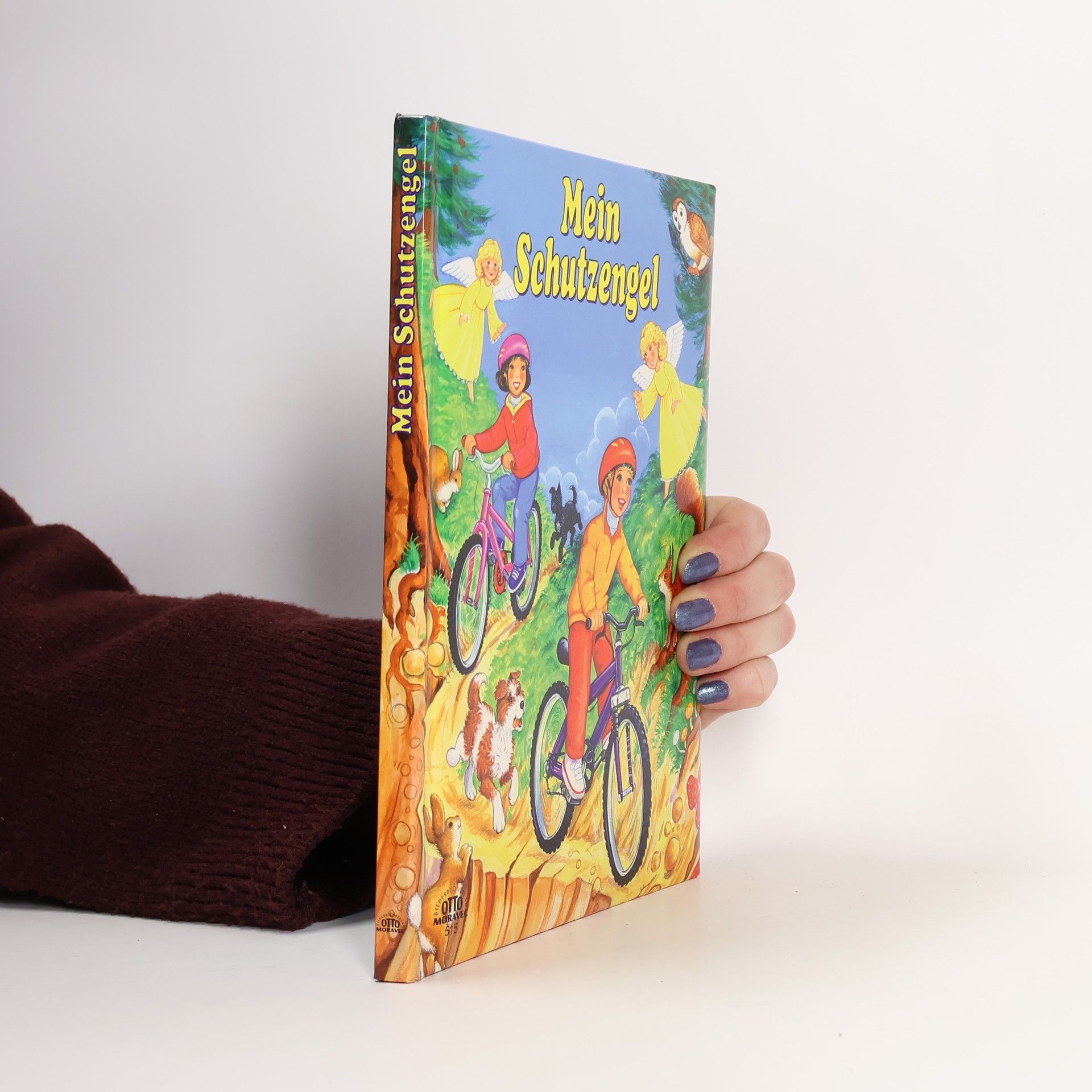 Collectif d'auteurs Mein Schutzengel