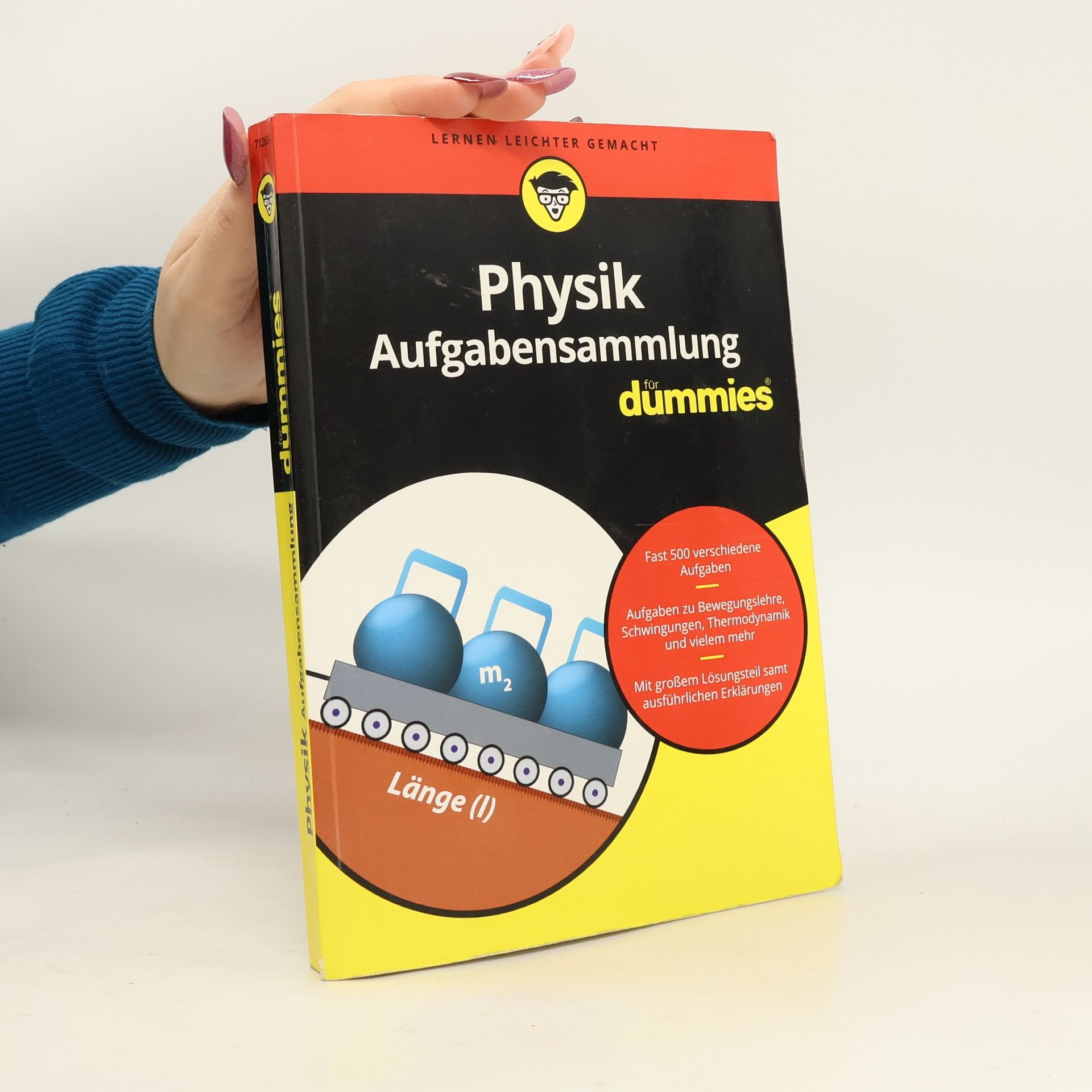 Tobias Schwaibold Aufgabensammlung Physik für Dummies