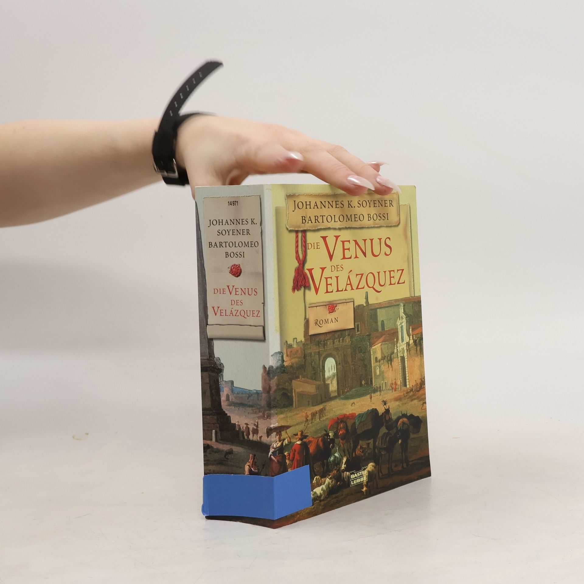 Die Venus des Velázquez