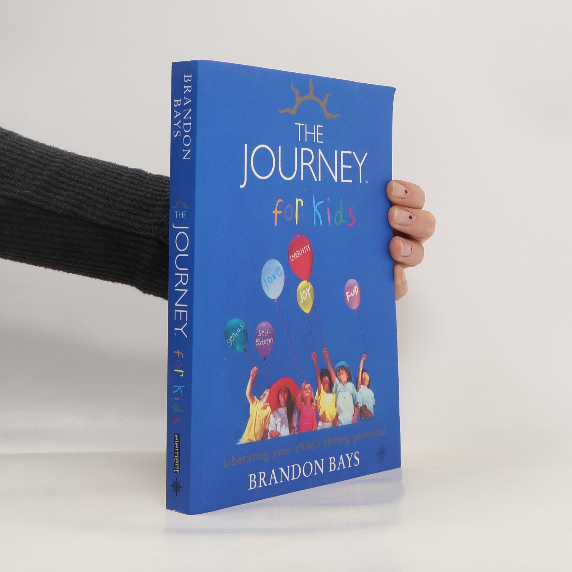 Brandon Bays The Journey for Kids