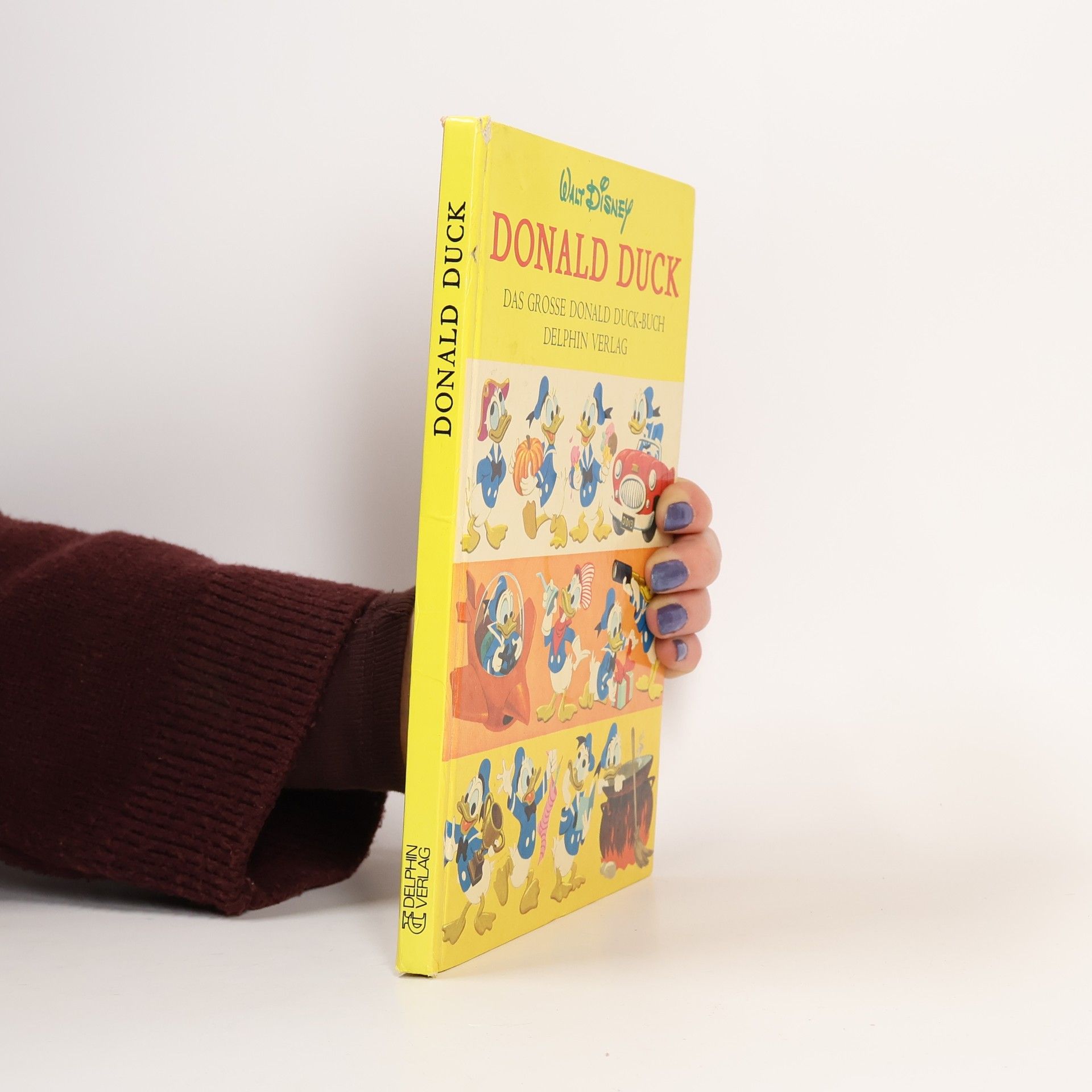 Walt Disney Das große Donald Duck- Buch