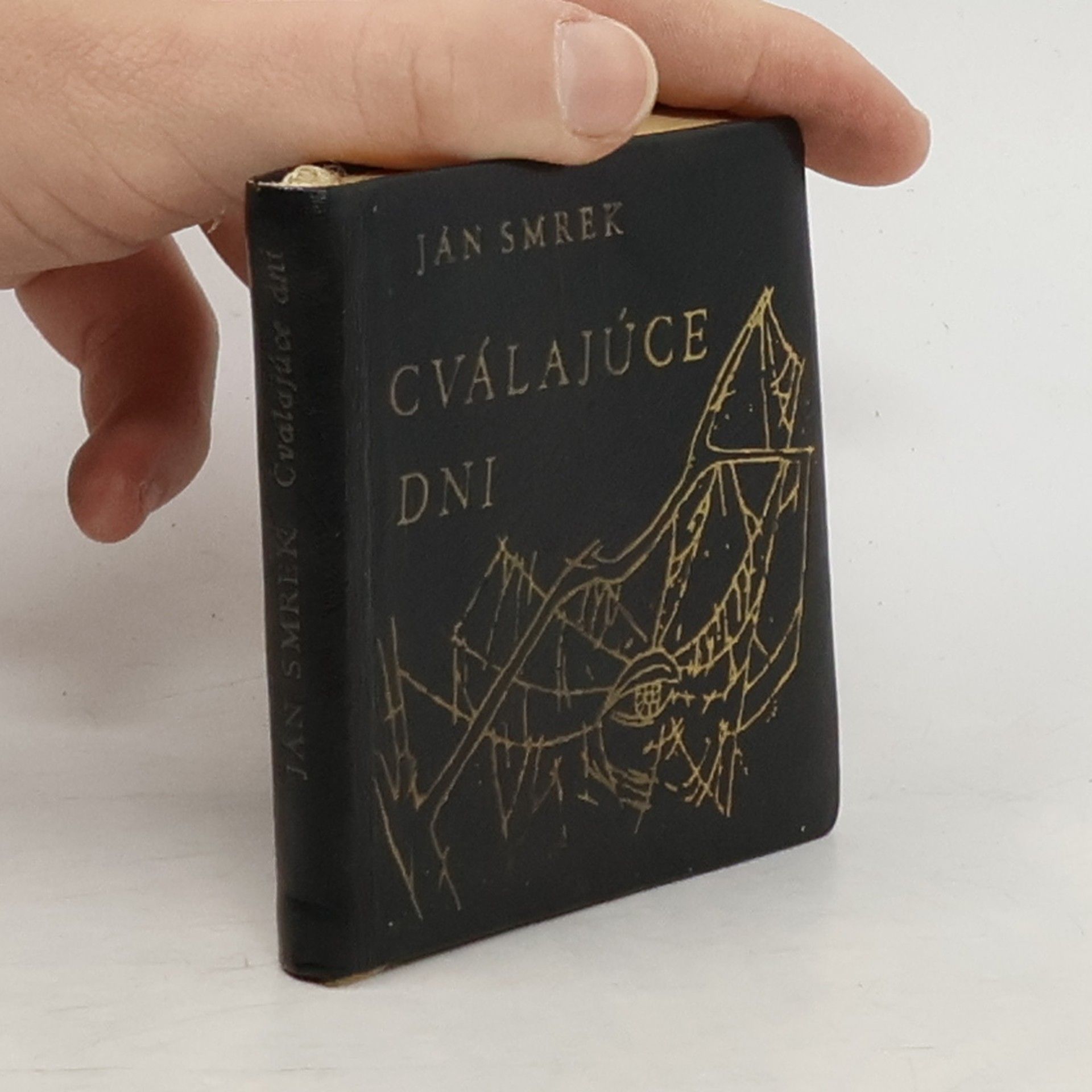 Ján Smrek Cválajúce dni