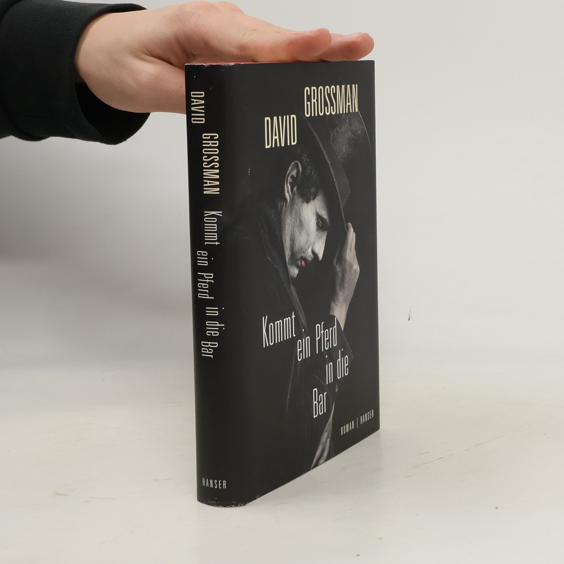 David Grossman Kommt ein Pferd in die Bar