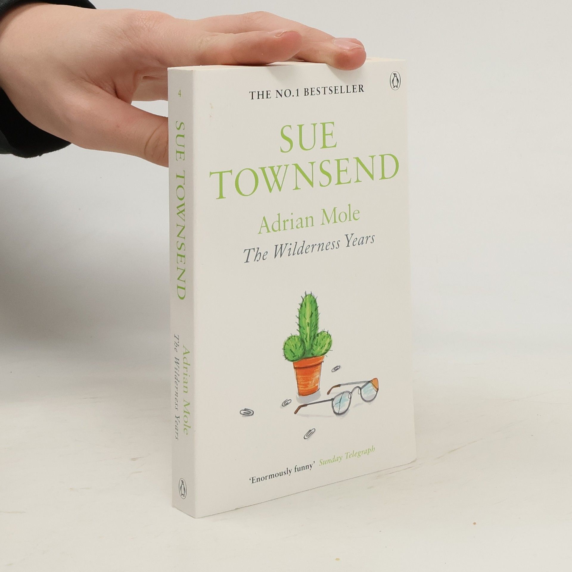 Sue Townsend Adrian Mole: The Wilderness Years