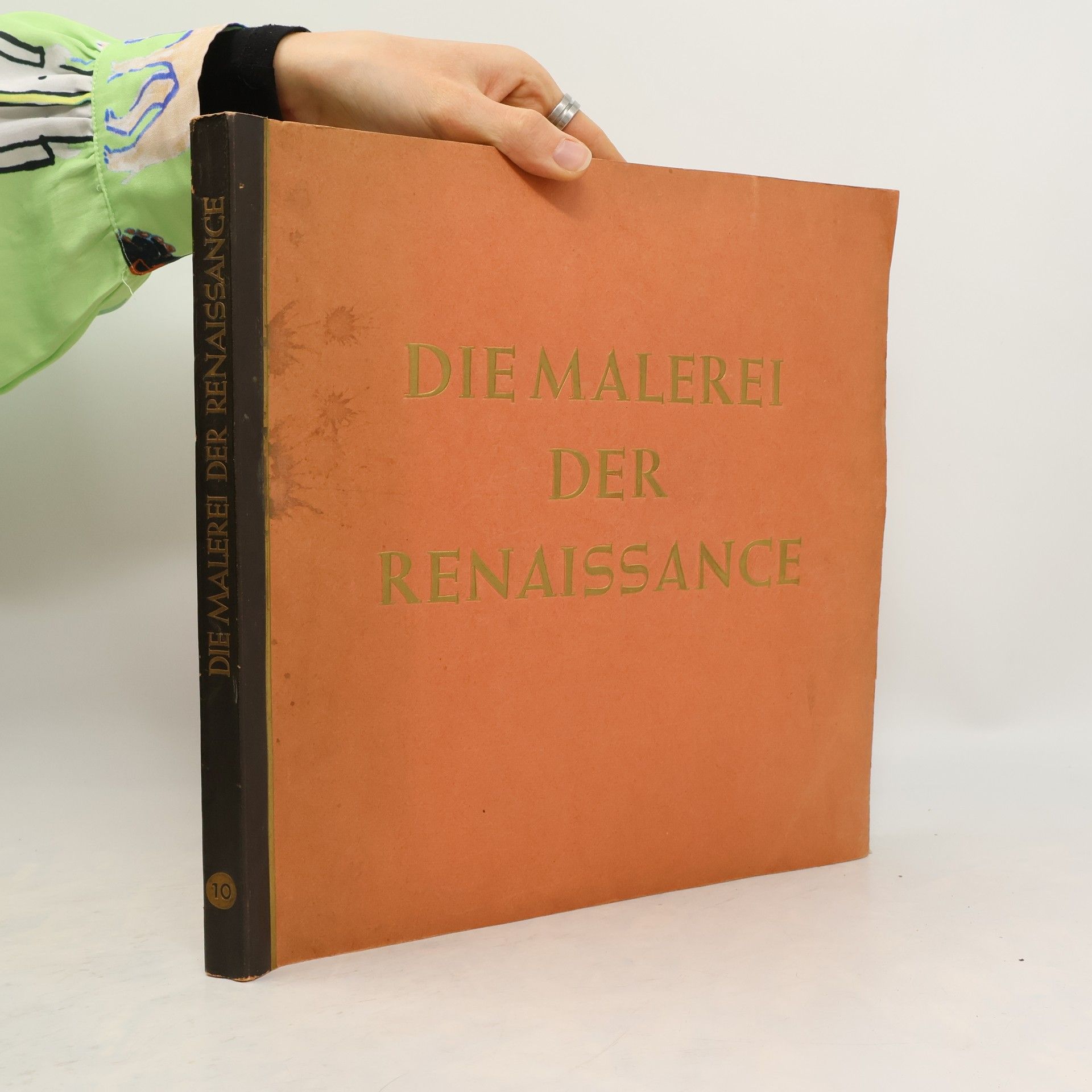 Auteurscollectief Die Malerei der Renaissance 10