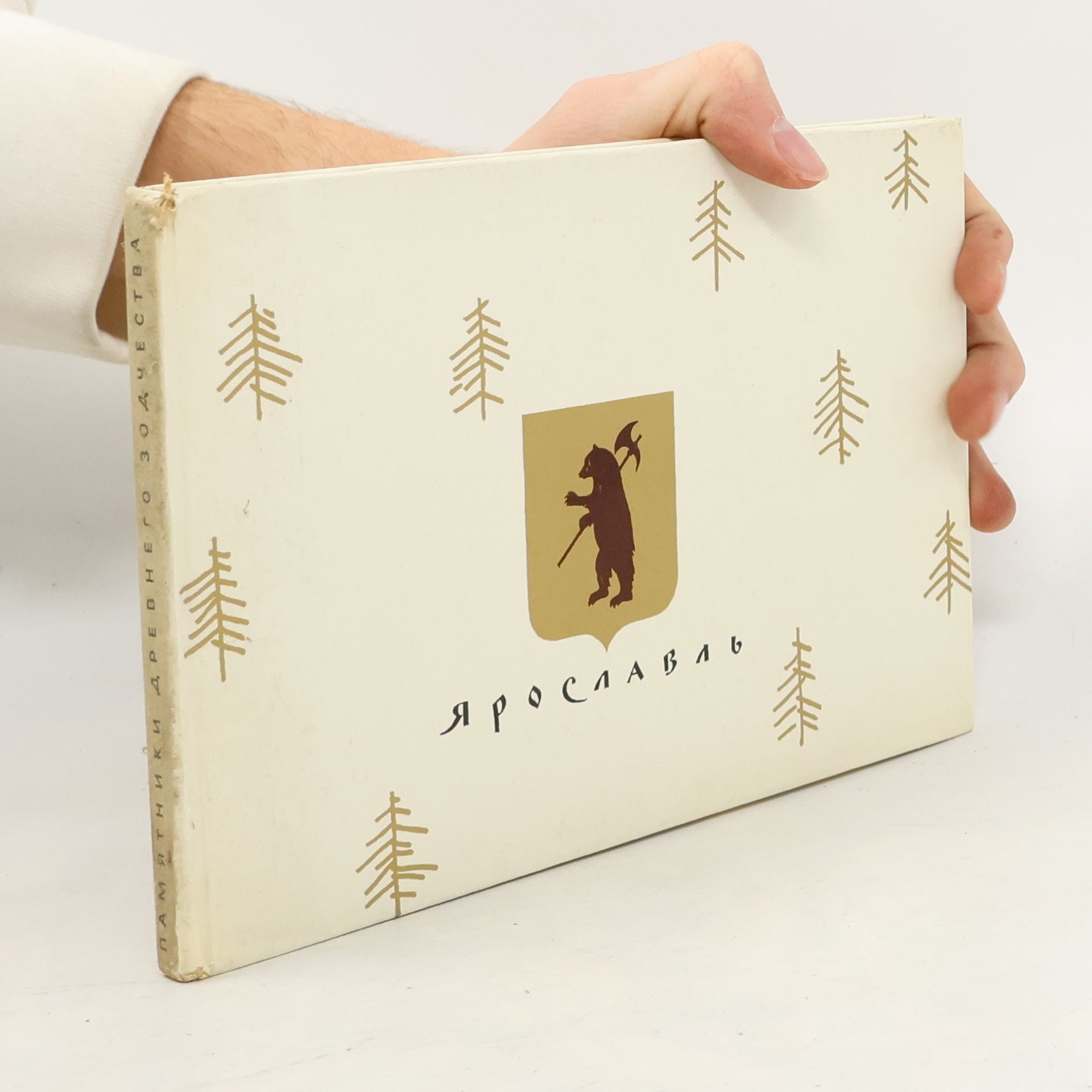 Kolektív autorov Памятники древнего зодчества: Ярославль