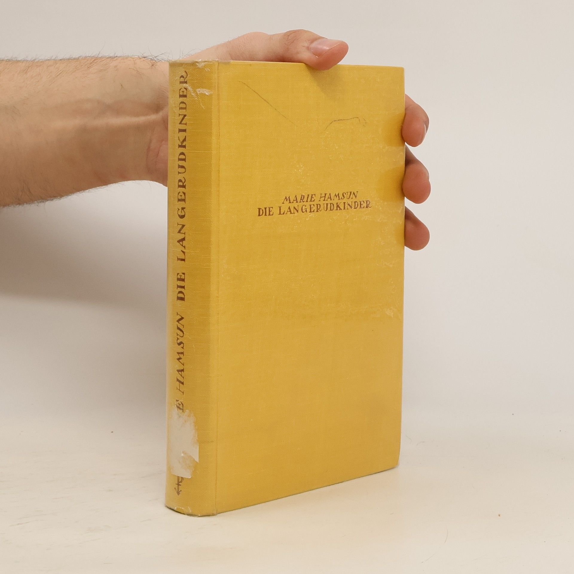 Die Langerudkinder im Sommer und Winter